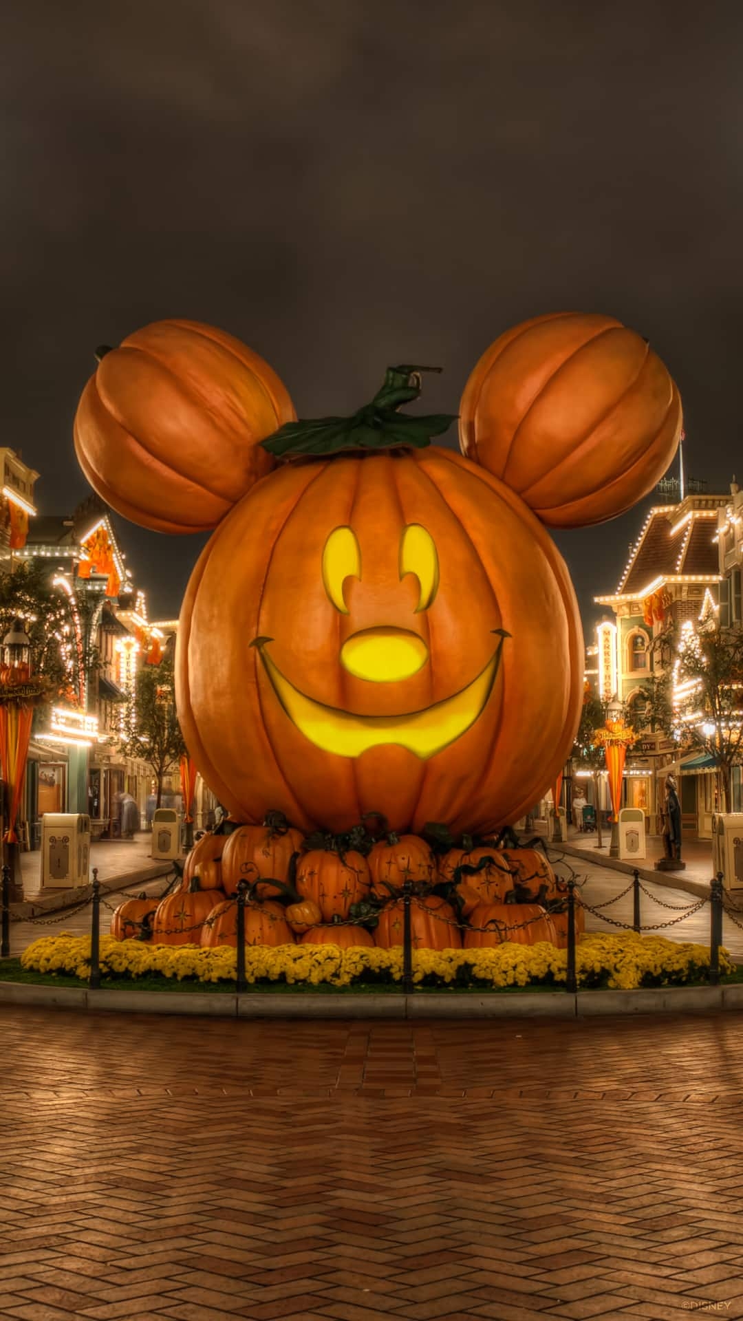 1080x1920 Disneyland Mickey Pumpkin Wallpaper, Phone