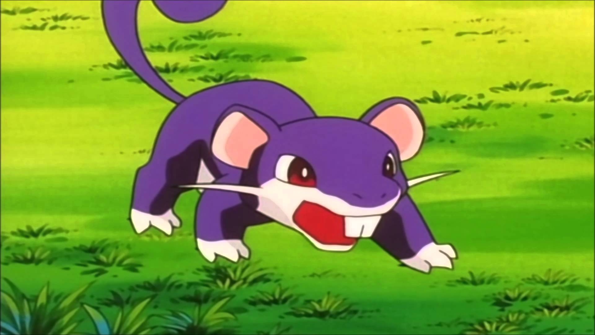 1920x1080 rattata pokemon go, Desktop