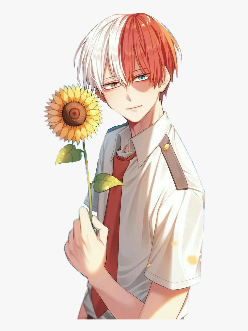 860x1150 todorokishouto #todoroki #shouto #bnha #myheroacademia Todoroki With Sunflowers, HD Png Download, Transparent Png Image, Phone