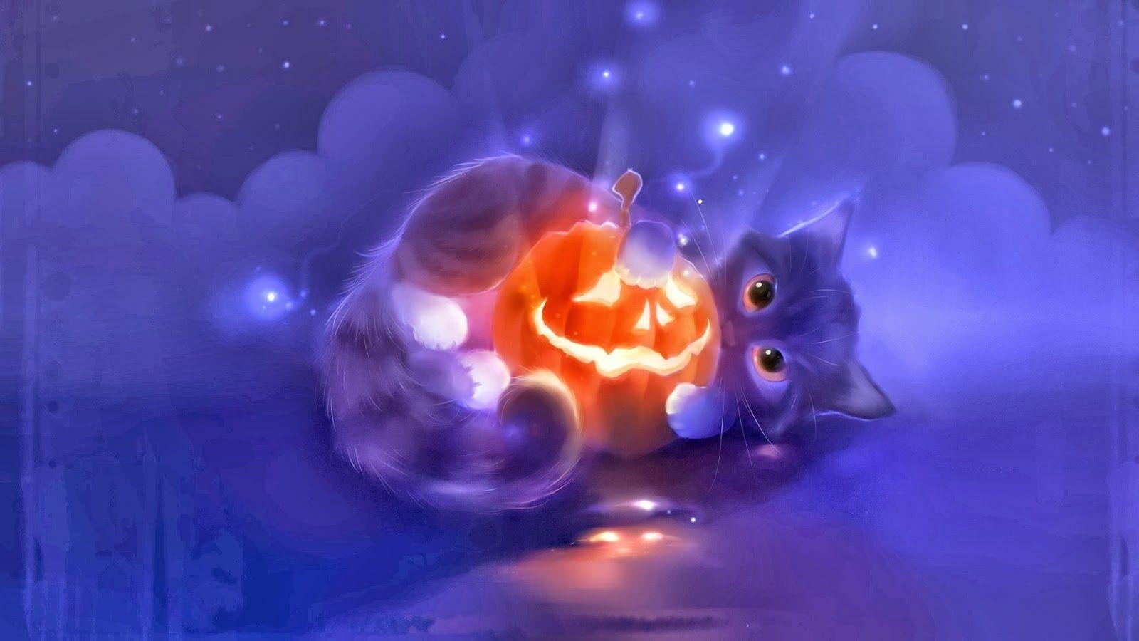 1600x900 Halloween Cute Pumpkin Head Cat Holiday Hd Wallpaper, Desktop