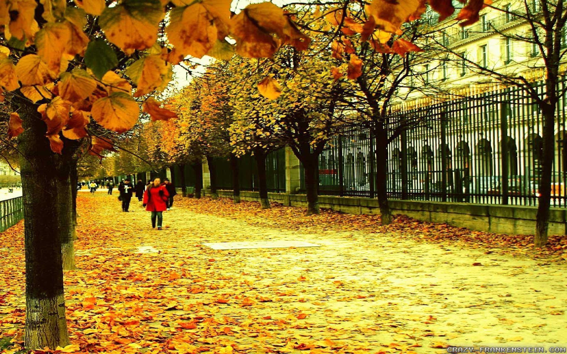 1920x1200 Autumn In France wallpaper, Desktop