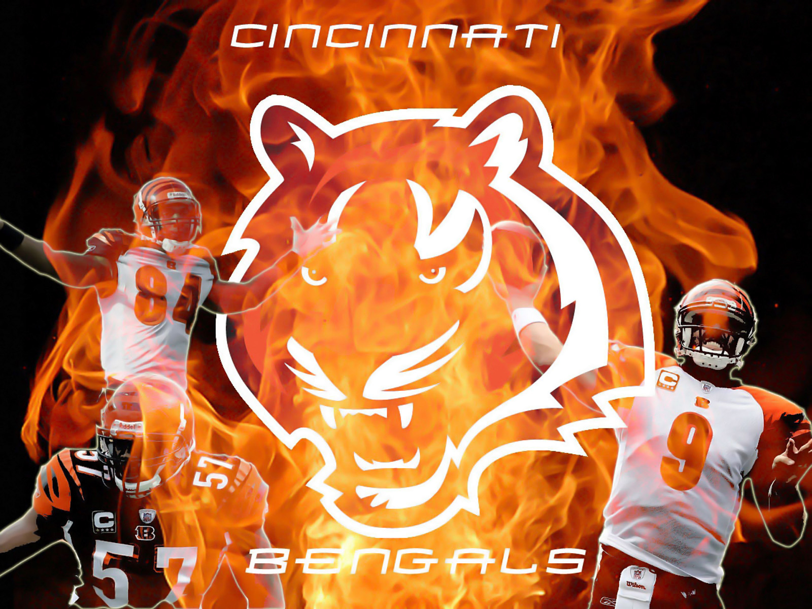 1600x1200 cincinnati, Bengals, Nfl, Football Wallpaper HD / Desktop and Mobile Background, Desktop