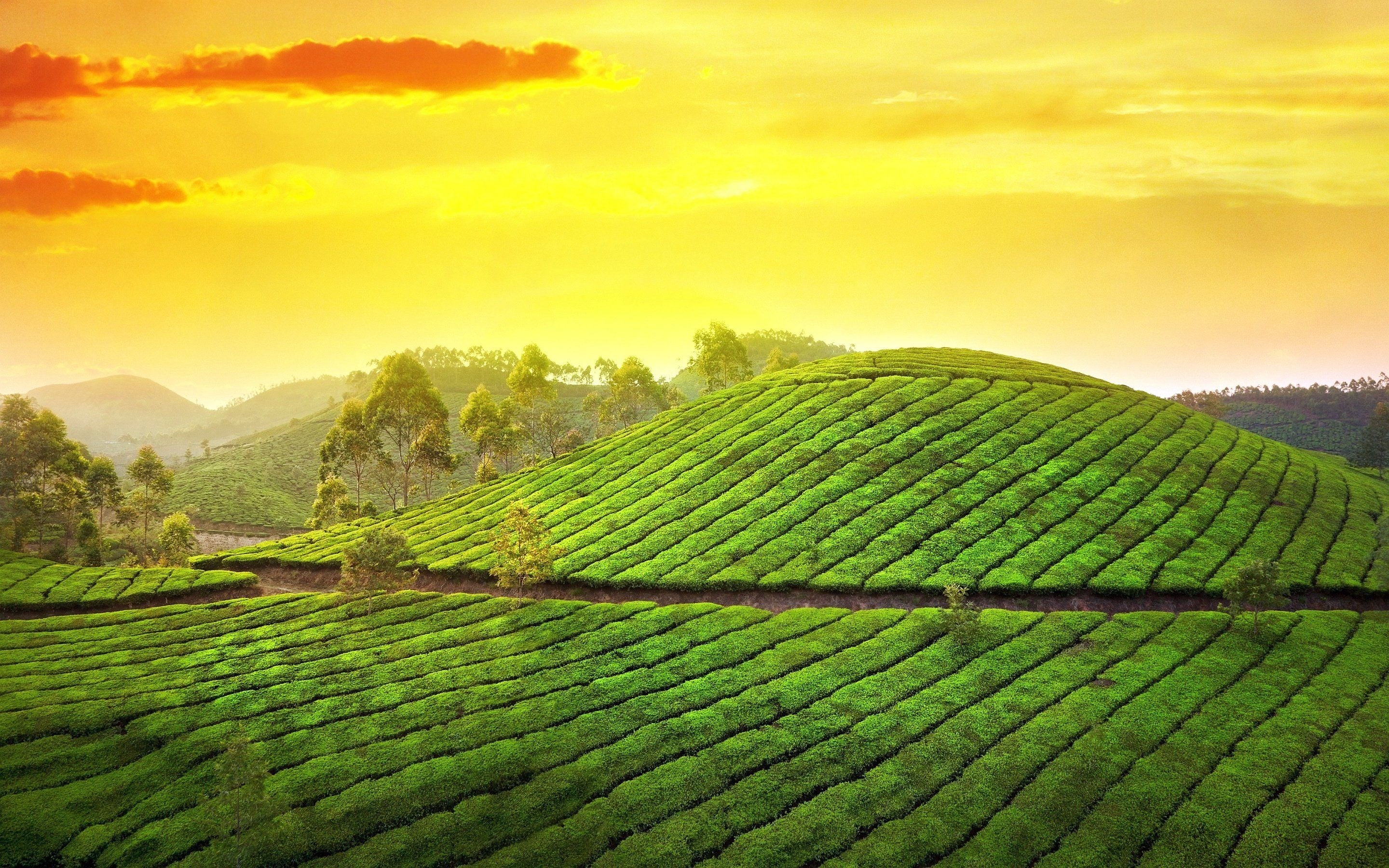 2880x1800 Kerala HD 748985, Desktop