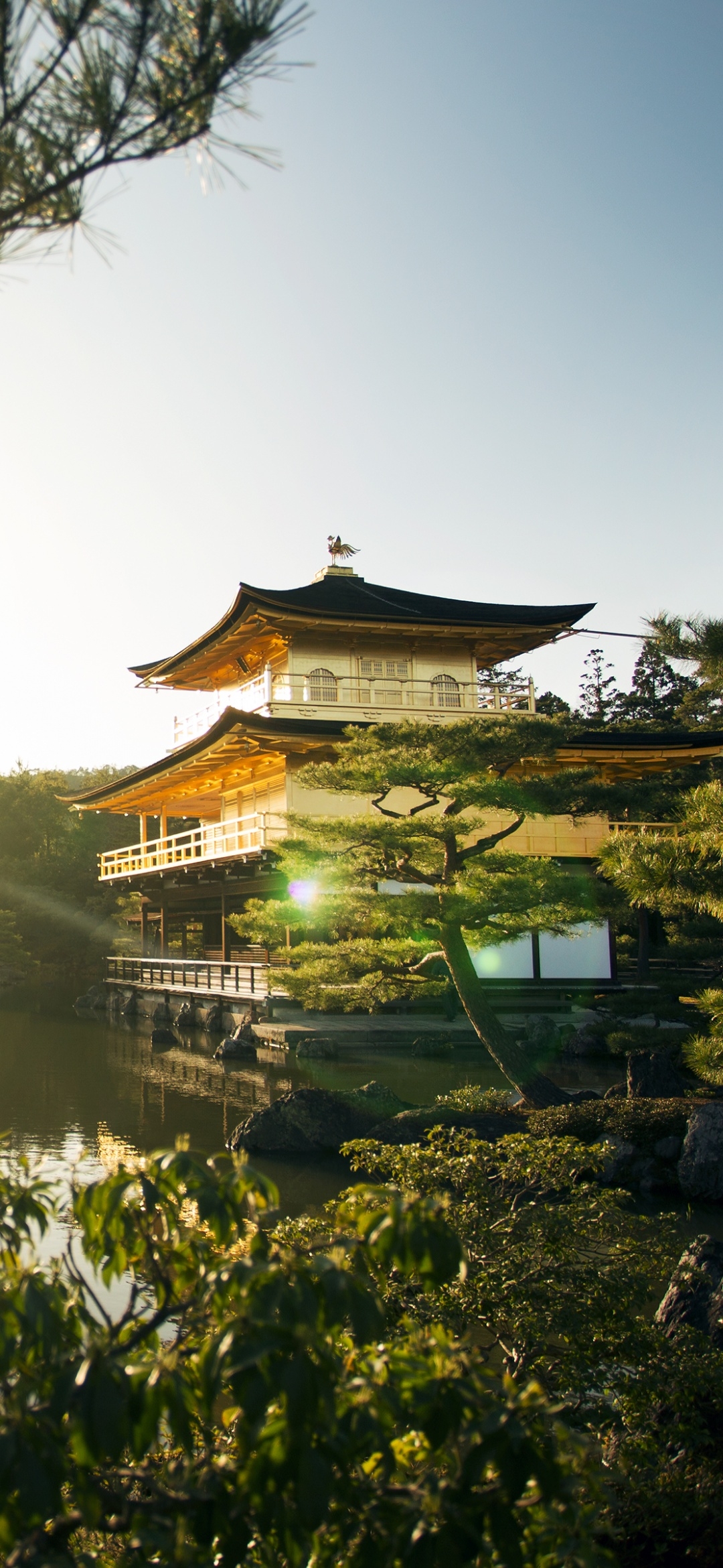 1080x2340 Kinkakuji Temple Wallpaper 4K, Rokuon, Phone