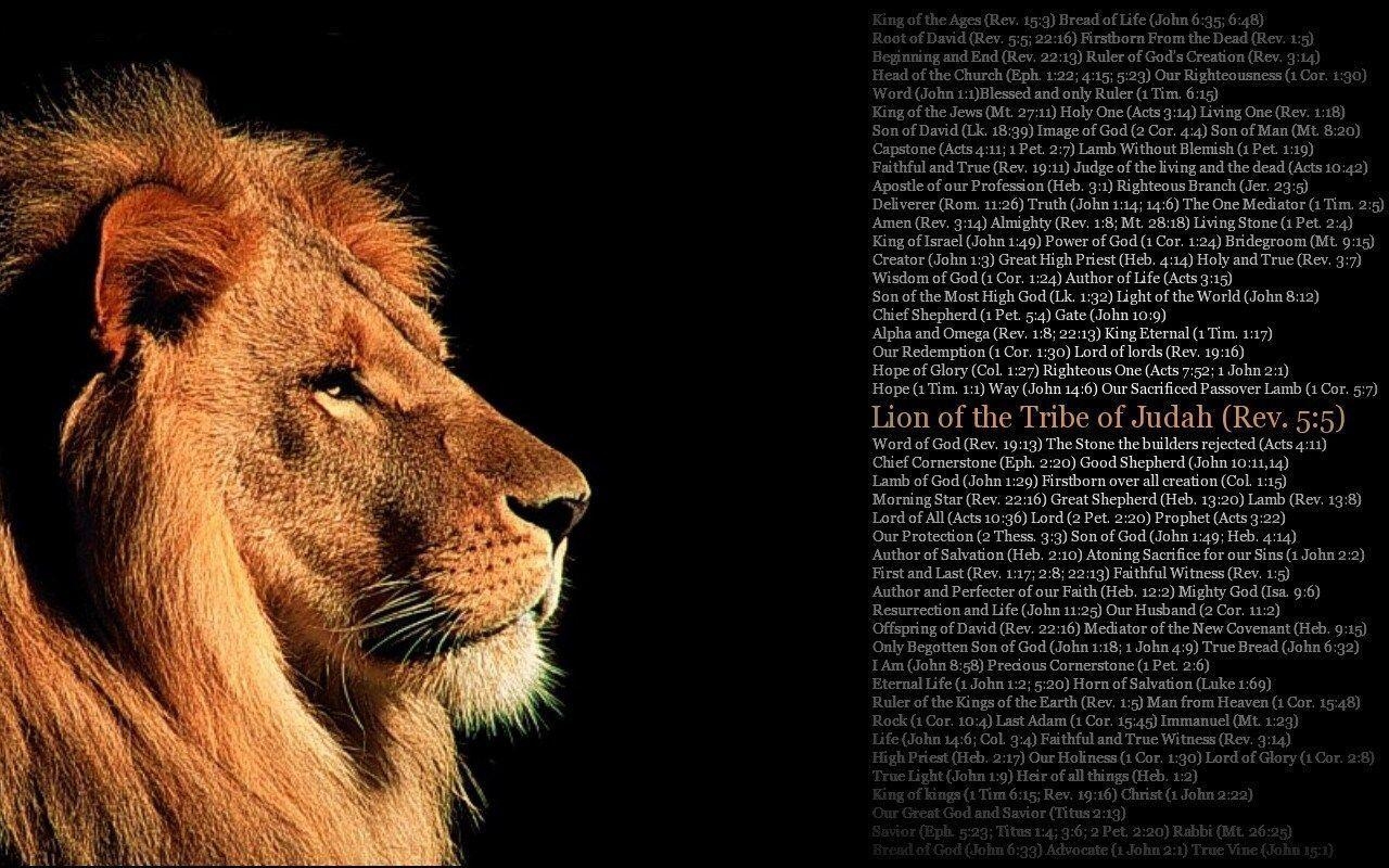 1280x800 Lion Of Judah Wallpaper 20090 Wallpaper. wallpaperhdcollection, Desktop