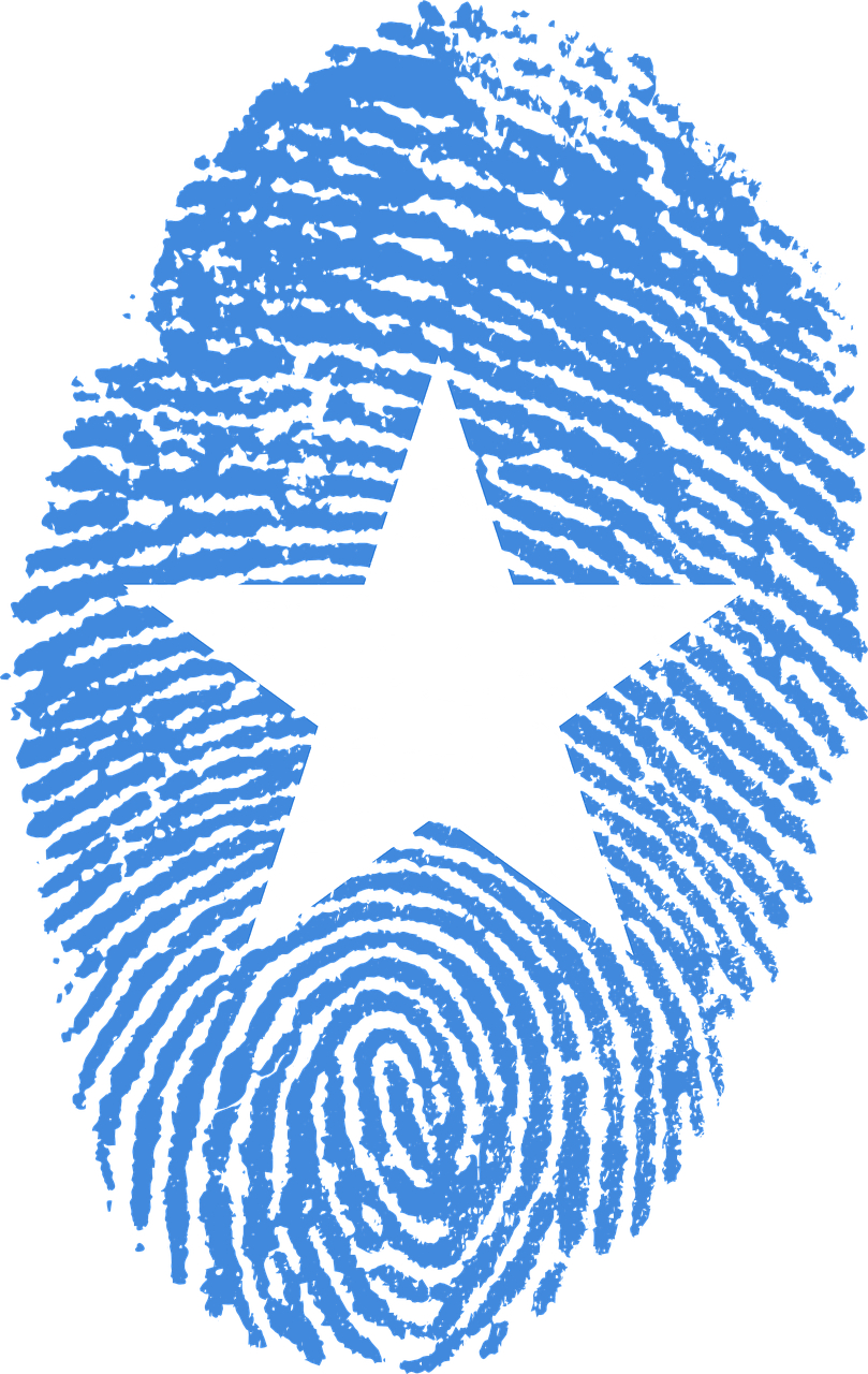 810x1280 Travel, Somalia Flag Fingerprint Country Pride Ide #travel, #somalia, Phone