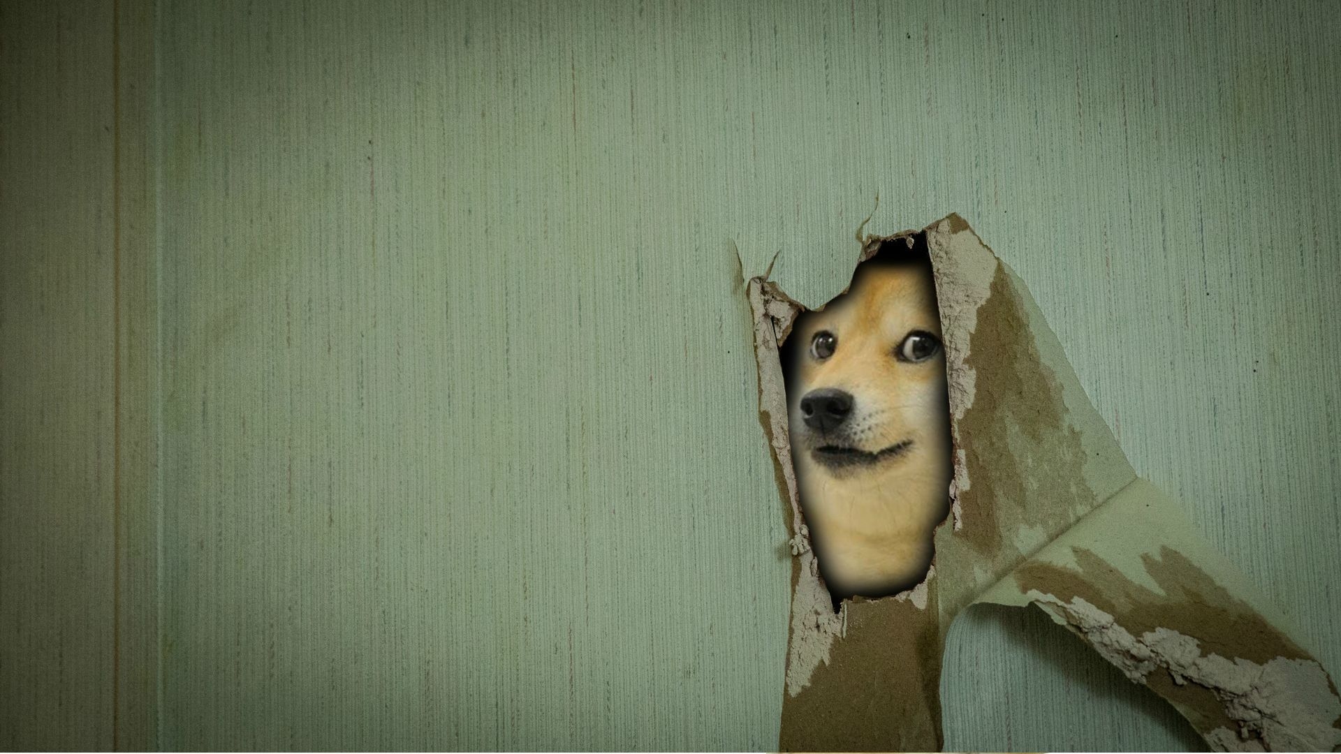 1920x1080 #doge, #memes wallpaper. Mocah.org HD Wallpaper, Desktop