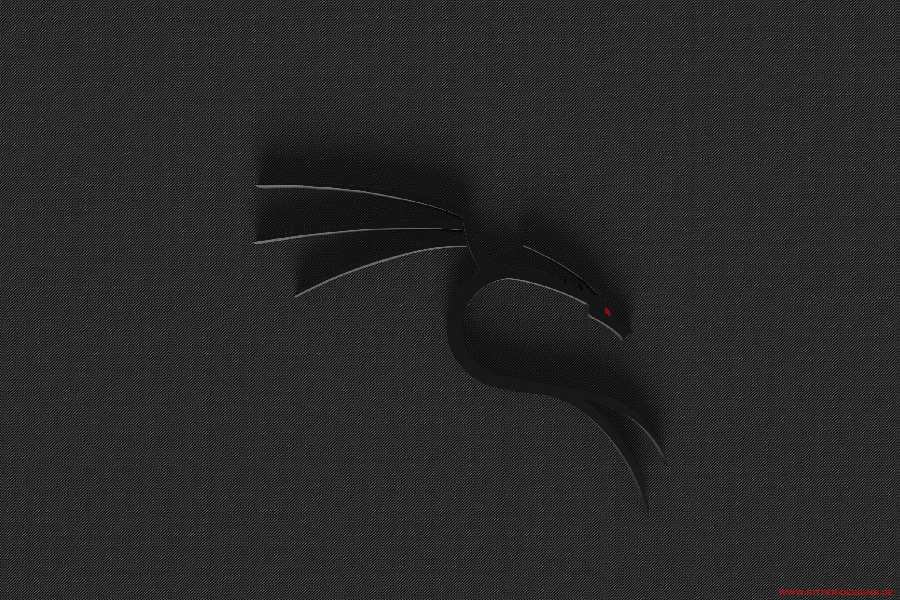 3000x2000 Kali Linux Wallpaper HD, Creative Kali Linux HD Wallpaper - #WP, Desktop