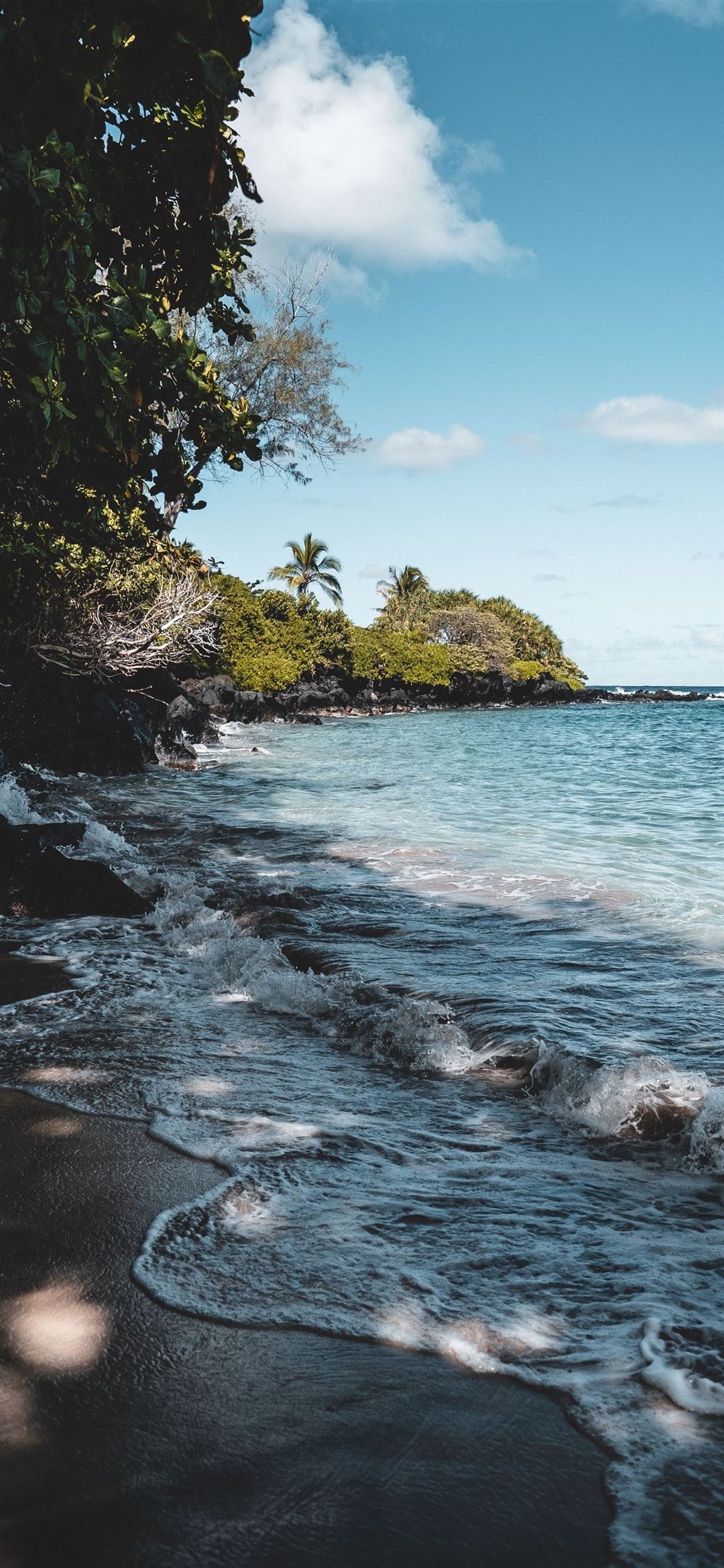 1080x2340 Tropical afternoon in beautiful Maui Hawaii iPhone 12 Wallpaper Free Download, Phone