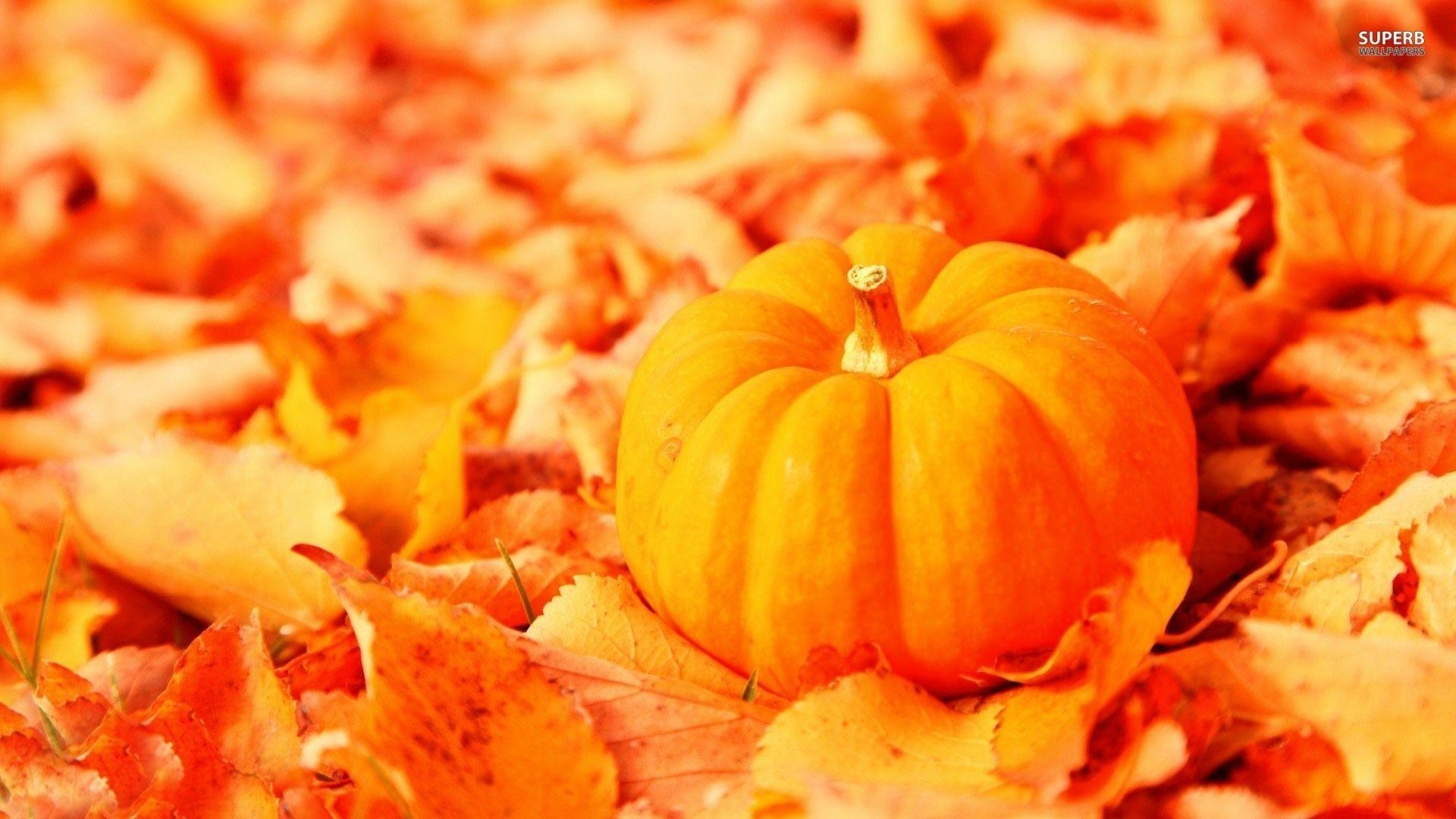 1920x1080 Fall Pumpkin Wallpaper, Desktop