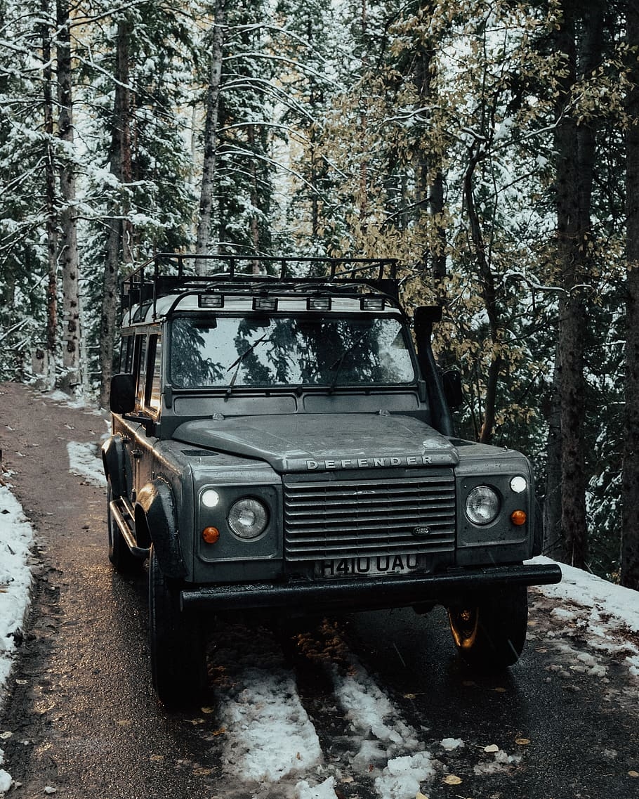 910x1140 HD wallpaper: vehicle surround with trees, winter, land rover defender, fall, Phone