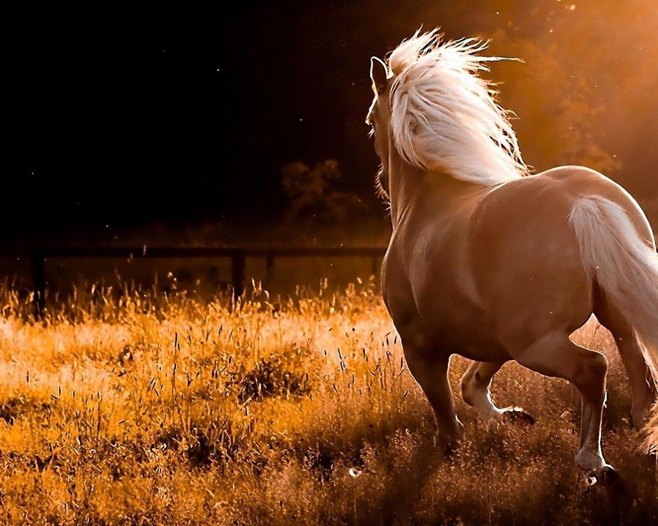 1280x1030 Red Horse Wallpaper. Amazing Horse, Desktop