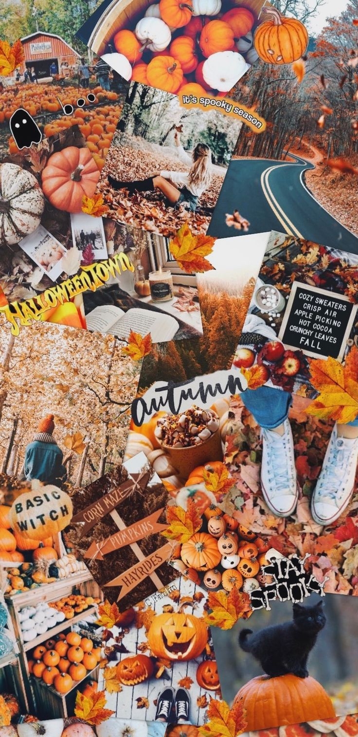 740x1520 Fall Collage. Fall wallpaper, iPhone wallpaper winter, Cute fall wallpaper, Phone