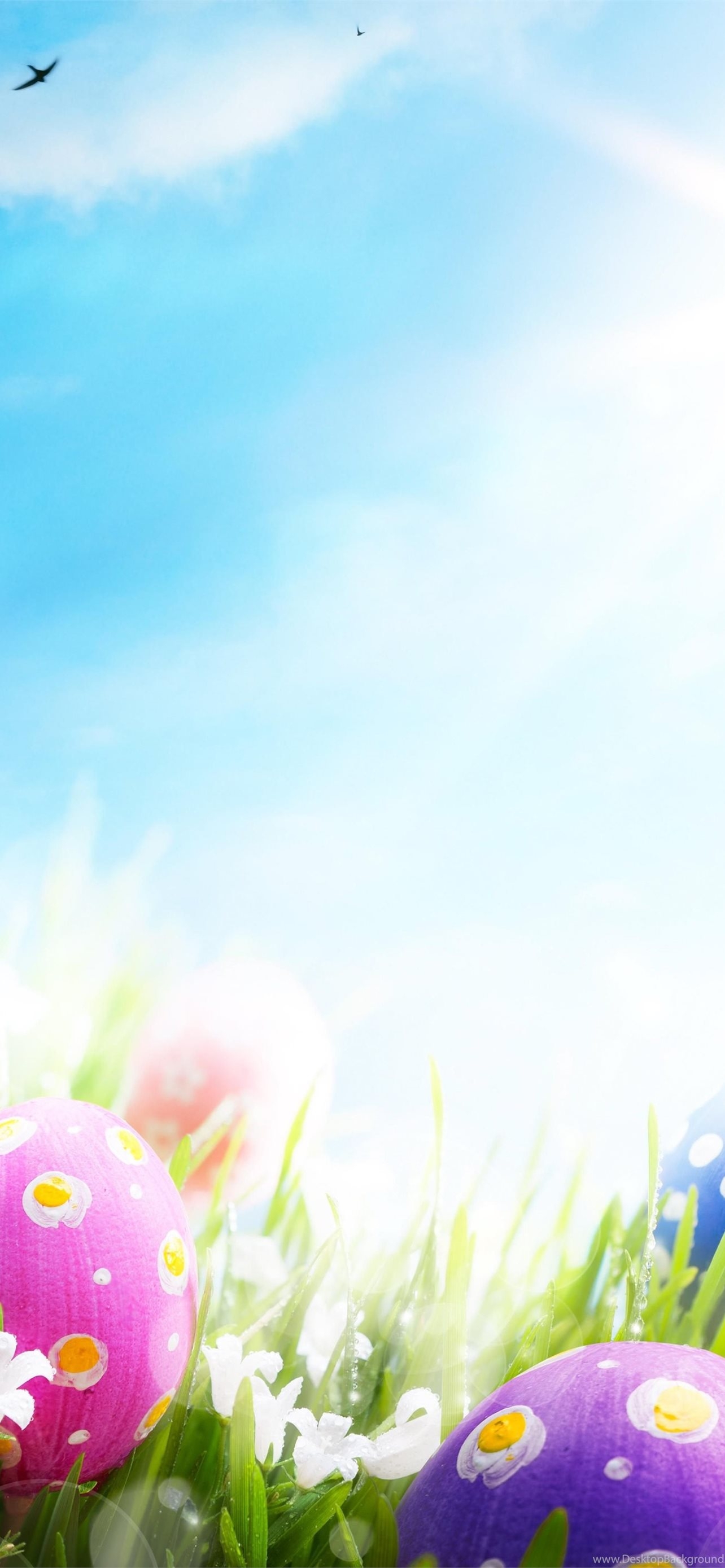 1290x2780 EASTER EGGS Desktop Background iPhone Wallpaper Free Download, Phone