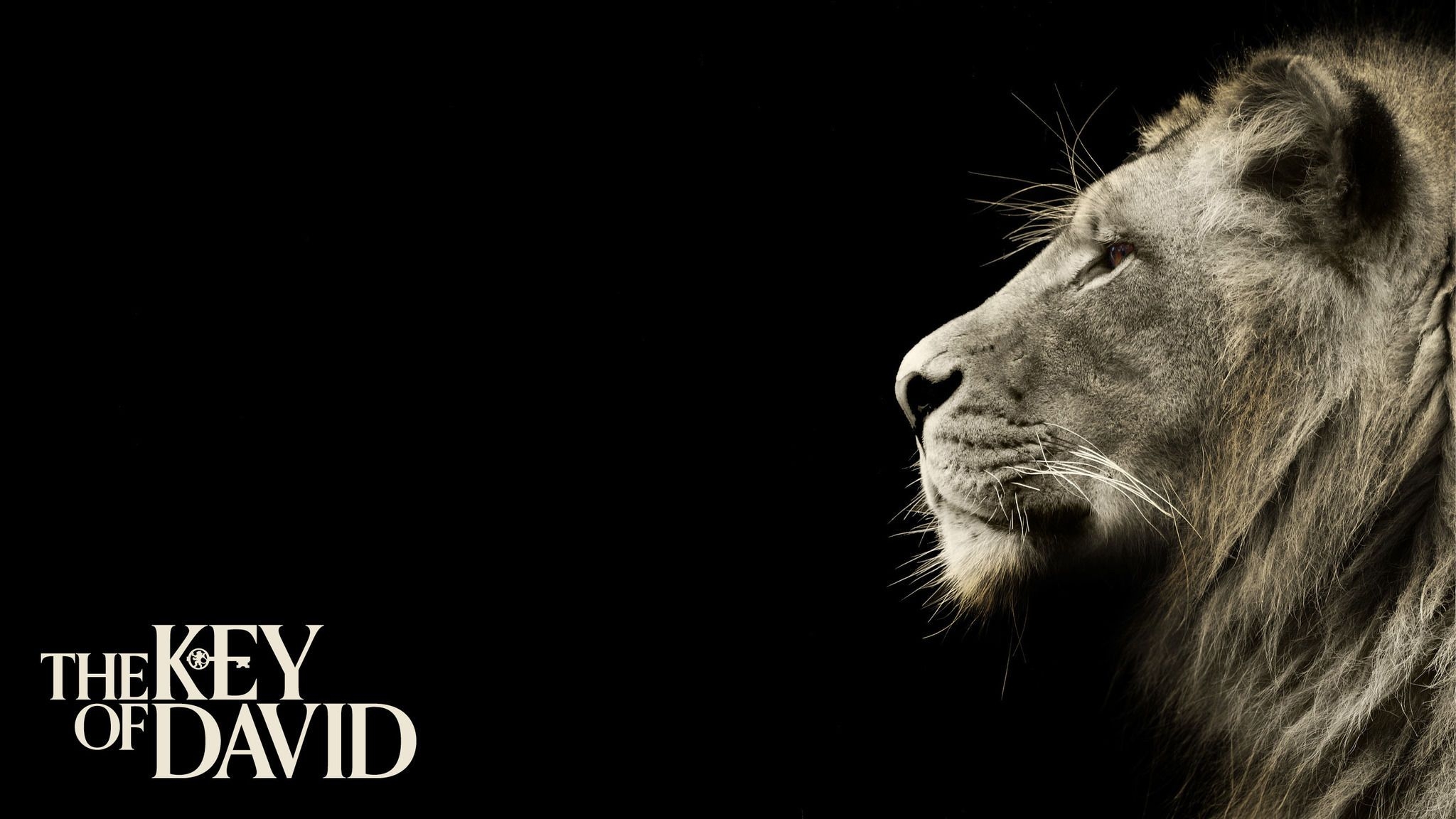 2050x1160 Lion Of Judah HD Wallpaper, Desktop