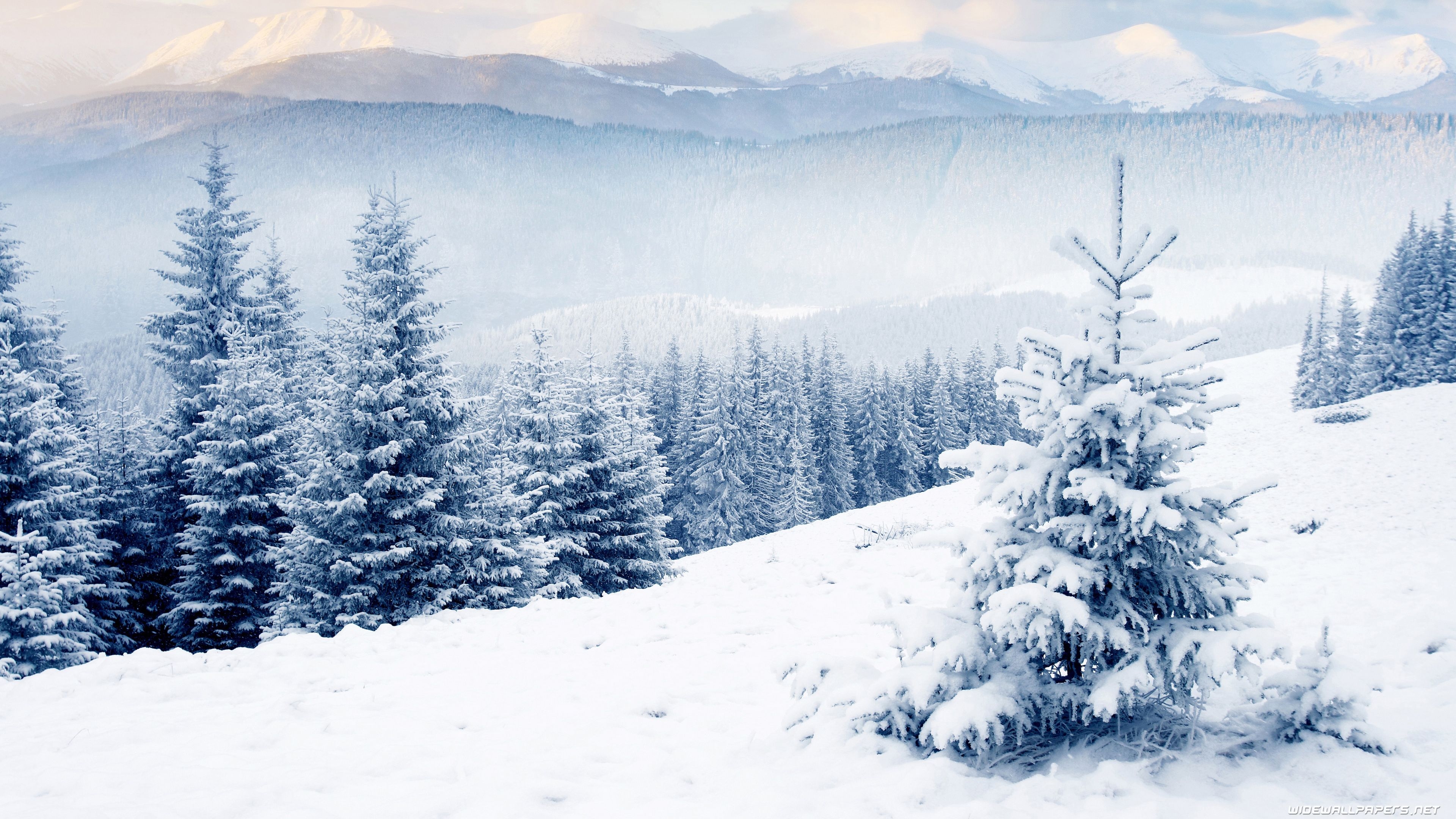 3840x2160 Ultra HD 4k Wallpaper Winter, Desktop