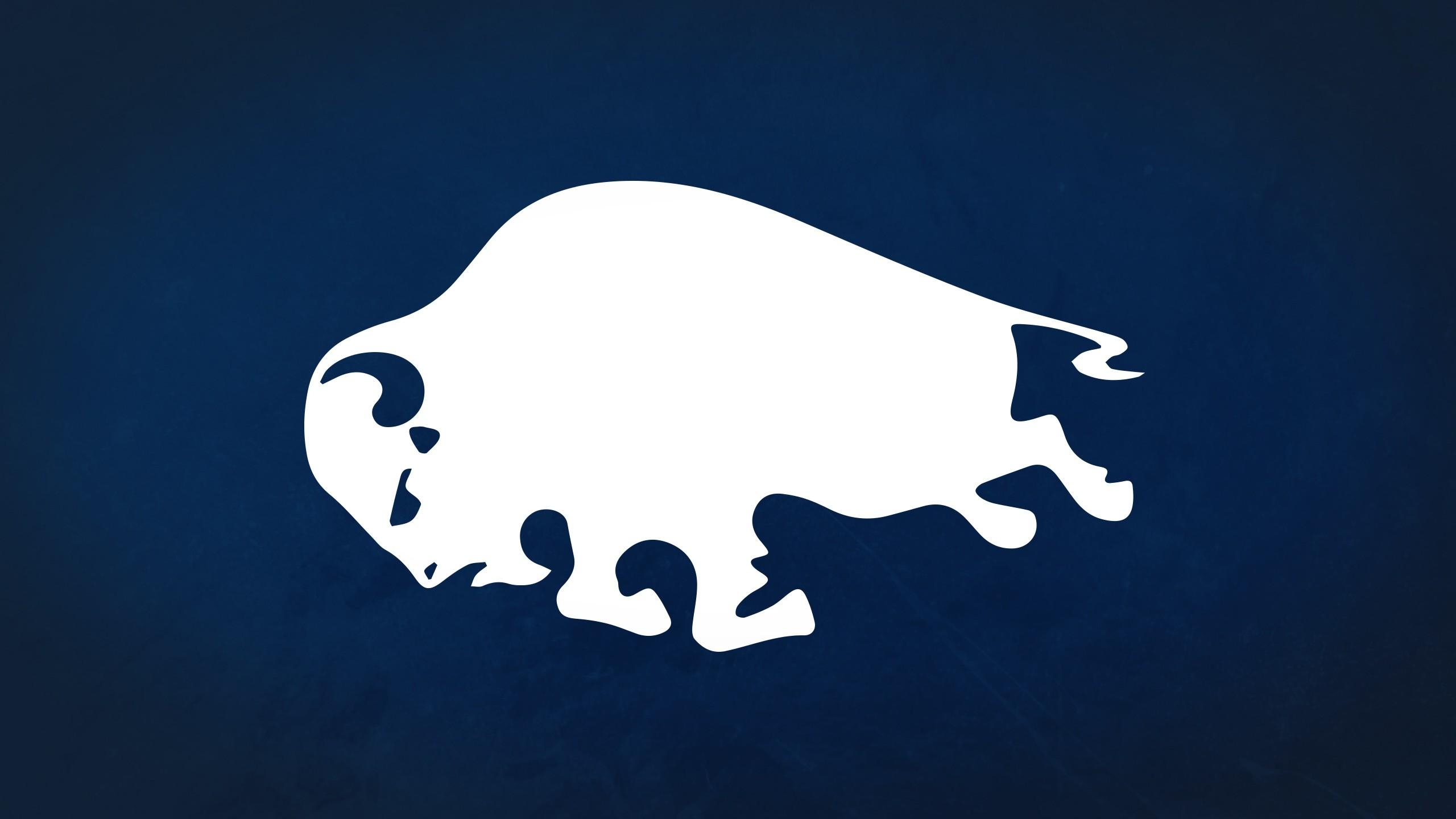 2560x1440 Buffalo Sabres HD Wallpaper, Desktop