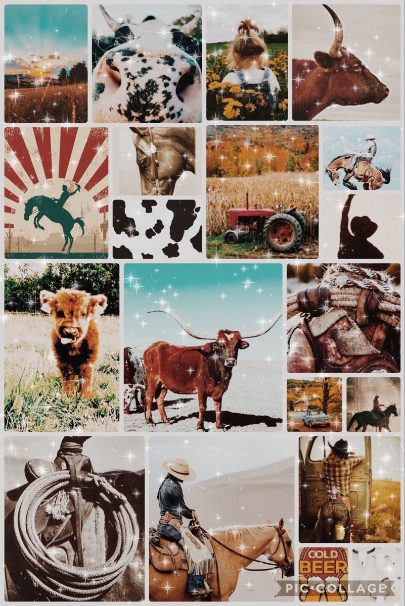 810x1200 Country wallpaper. Cow wallpaper, Cute wallpaper background, Western aesthetic wallpaper, Phone