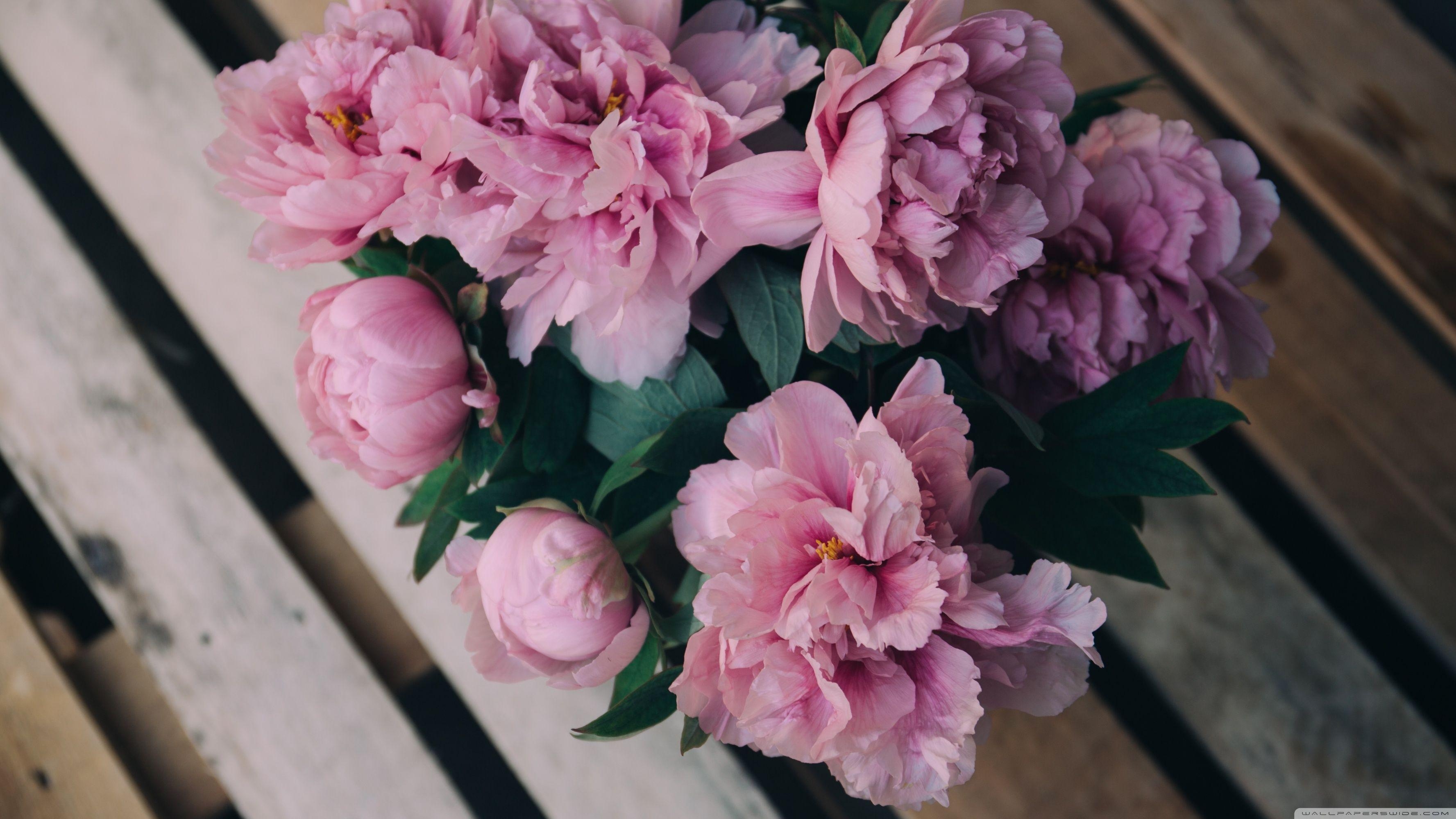 3560x2000 Pink Peonies Flowers in Vase ❤ 4K HD Desktop Wallpaper for 4K Ultra, Desktop