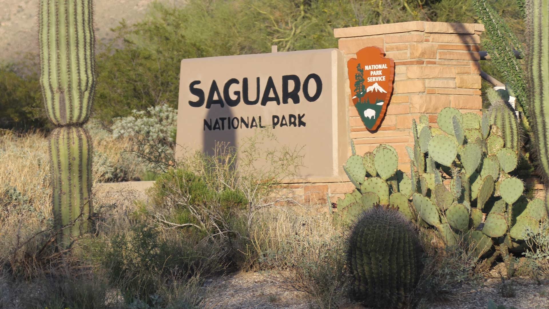 1920x1080 Record Numbers Visit Saguaro National Park, Mirroring National, Desktop