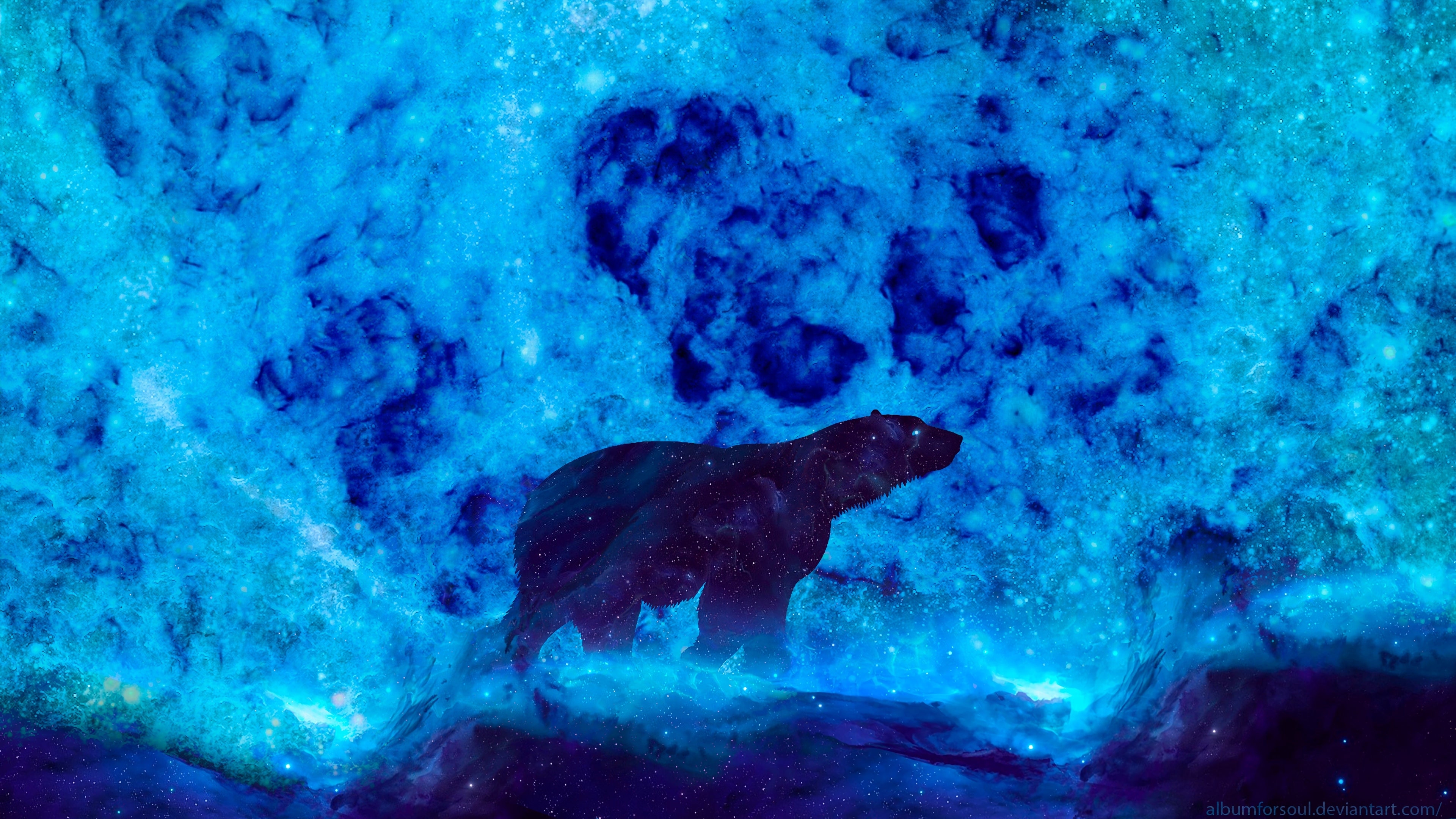 3840x2160 Bear 4K wallpaper for your desktop or mobile screen free and easy to download, Desktop