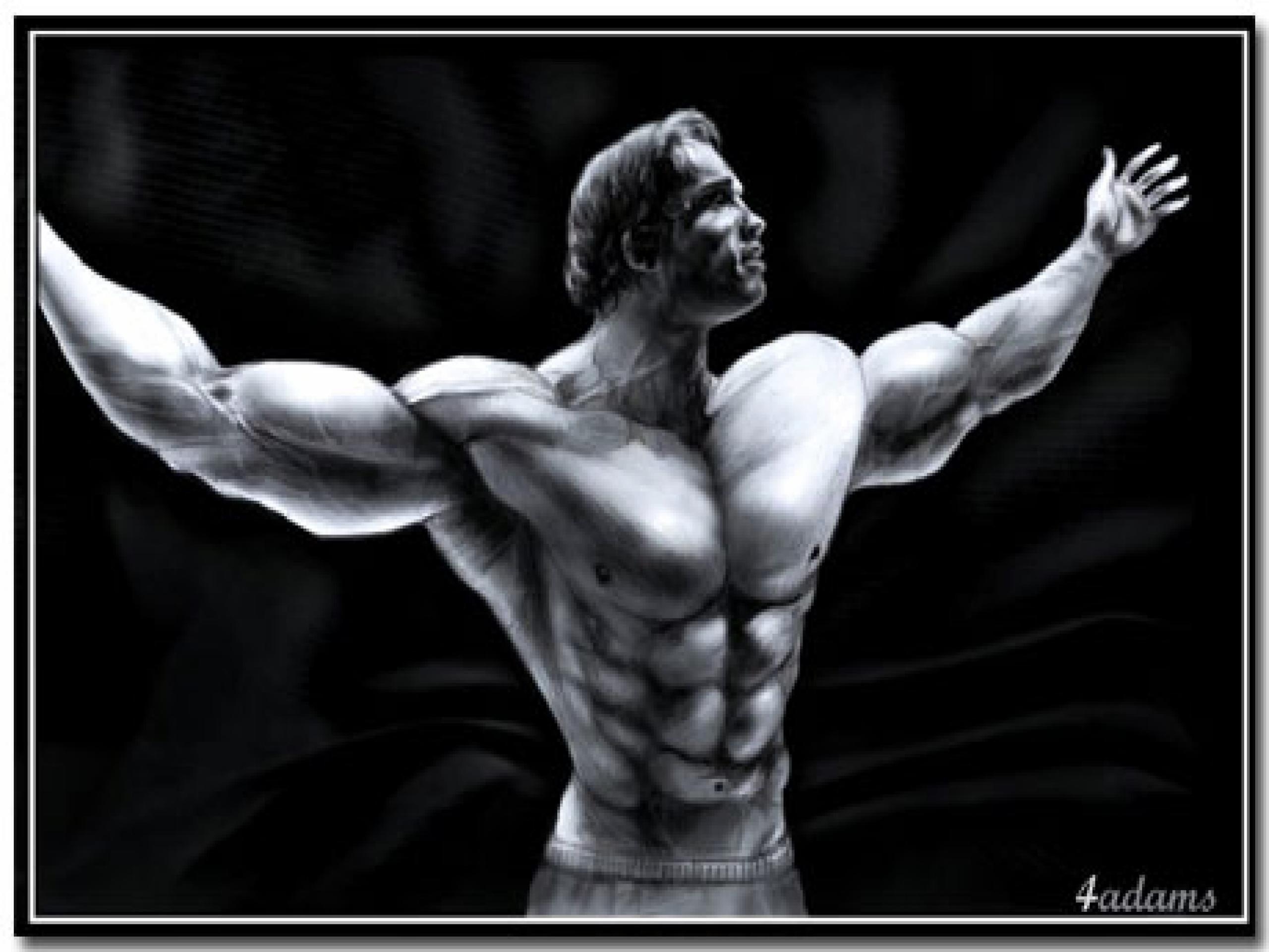 2560x1920 Arnold Schwarzenegger Wallpaper Free Arnold Schwarzenegger, Desktop