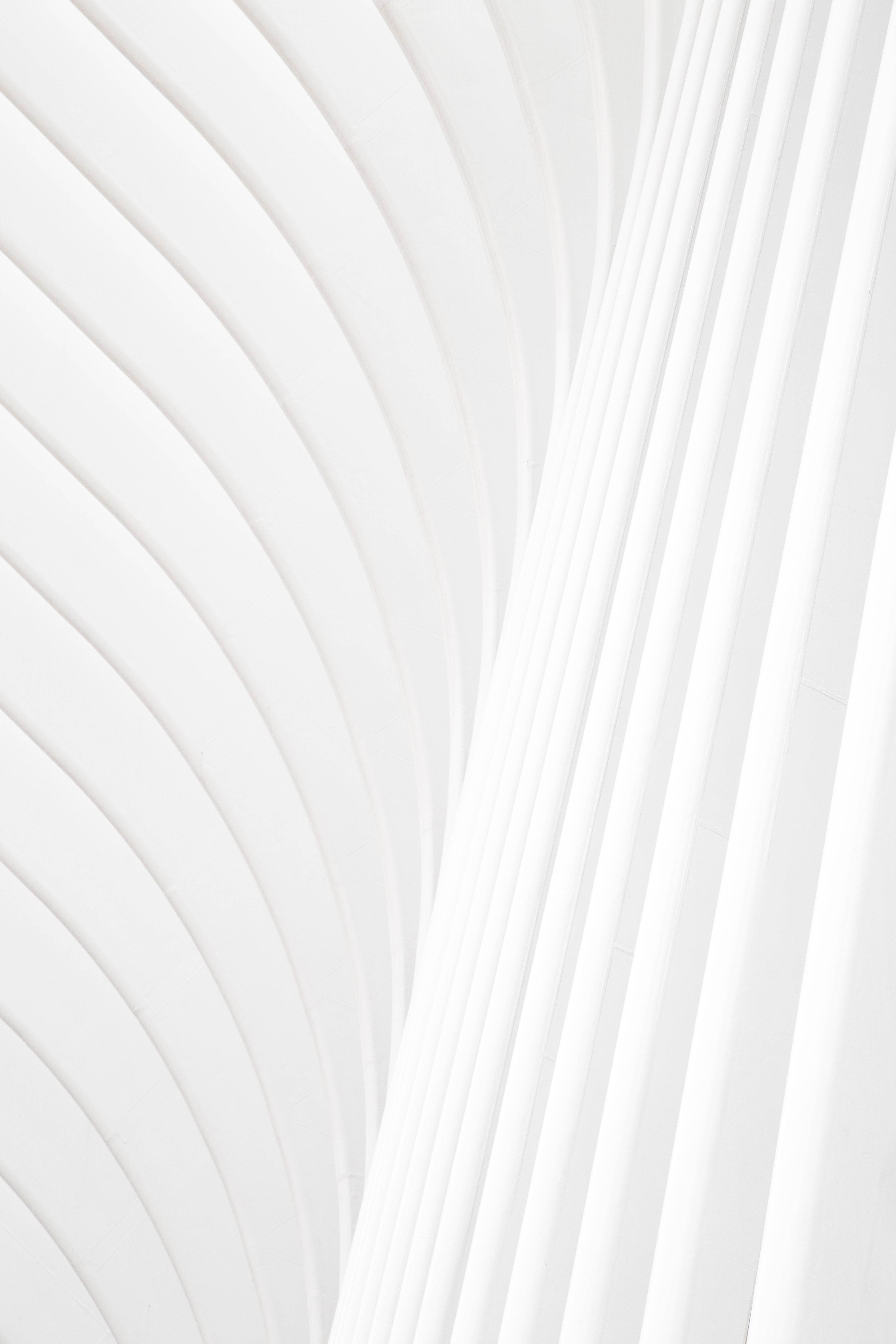 3570x5360 Best Of Pure White Background HD Wallpaper Photo, Phone