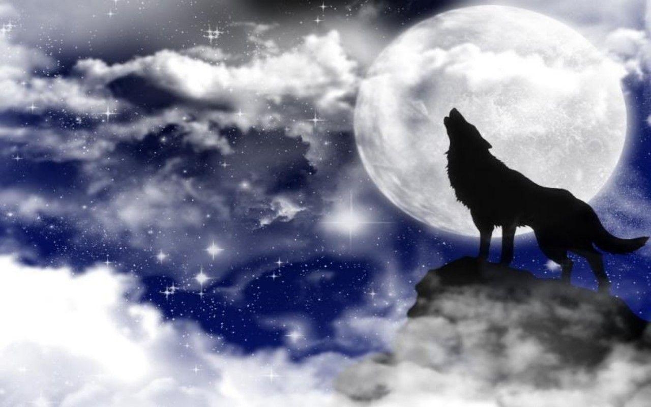 1280x800 Pin Download Wolf Howling At The Full Moon Wallpaper, Desktop