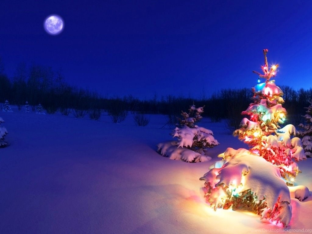 1030x770 Free Live Christmas Wallpaper Desktop Background, Desktop