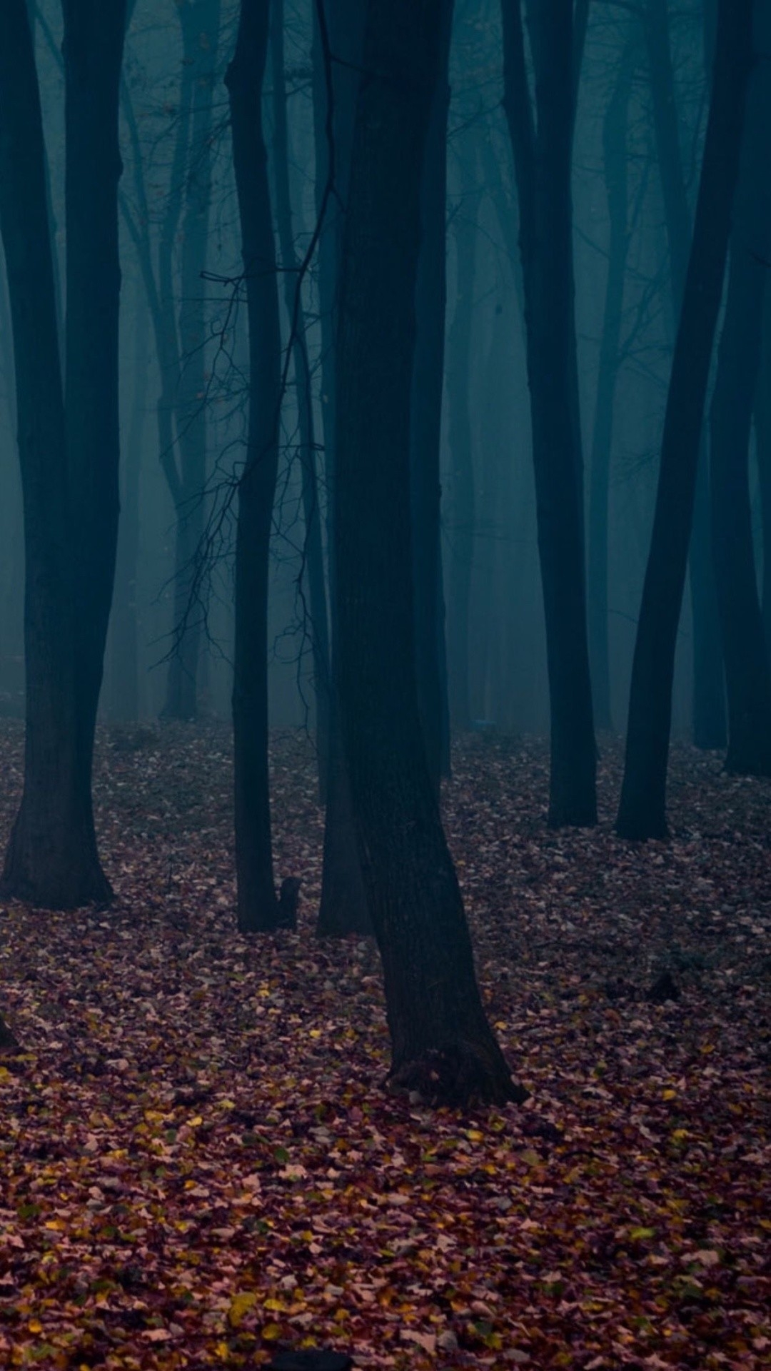 1080x1920 25++ Dark Autumn Wallpaper Tumblr, Phone