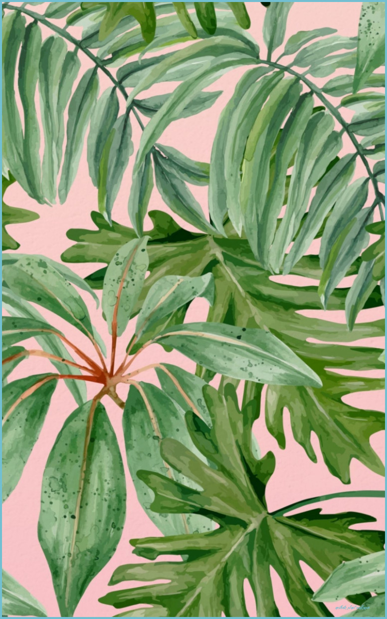 780x1250 Free Download Plant Aesthetic Wallpaper Top Plant Aesthetic Plant Wallpaper, Phone