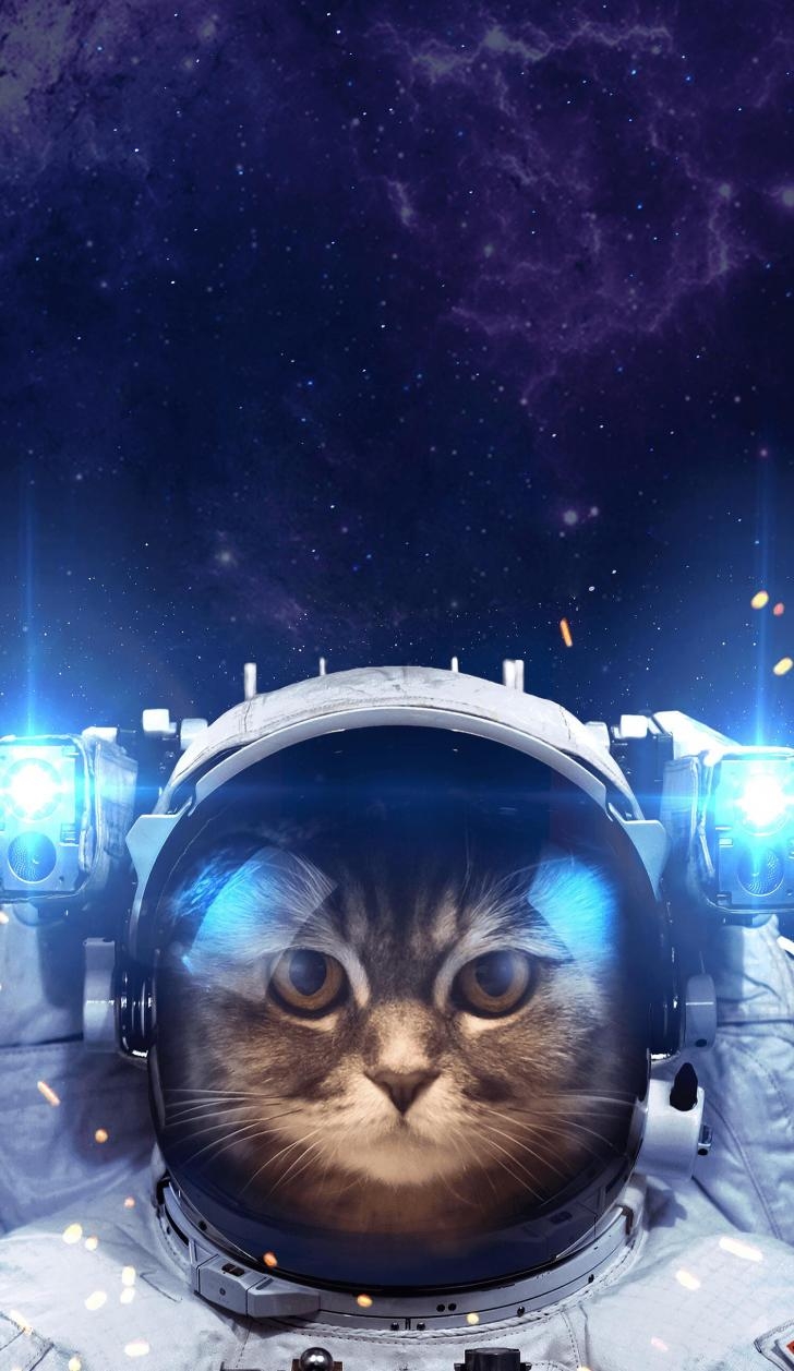 730x1260 Wallpaper HD: Astronaut, Cat, Phone, Wallpaper, Top, Free, Astronaut, Cat, Phone, cats, In, Space, iPhone, Wallpaper, Phone