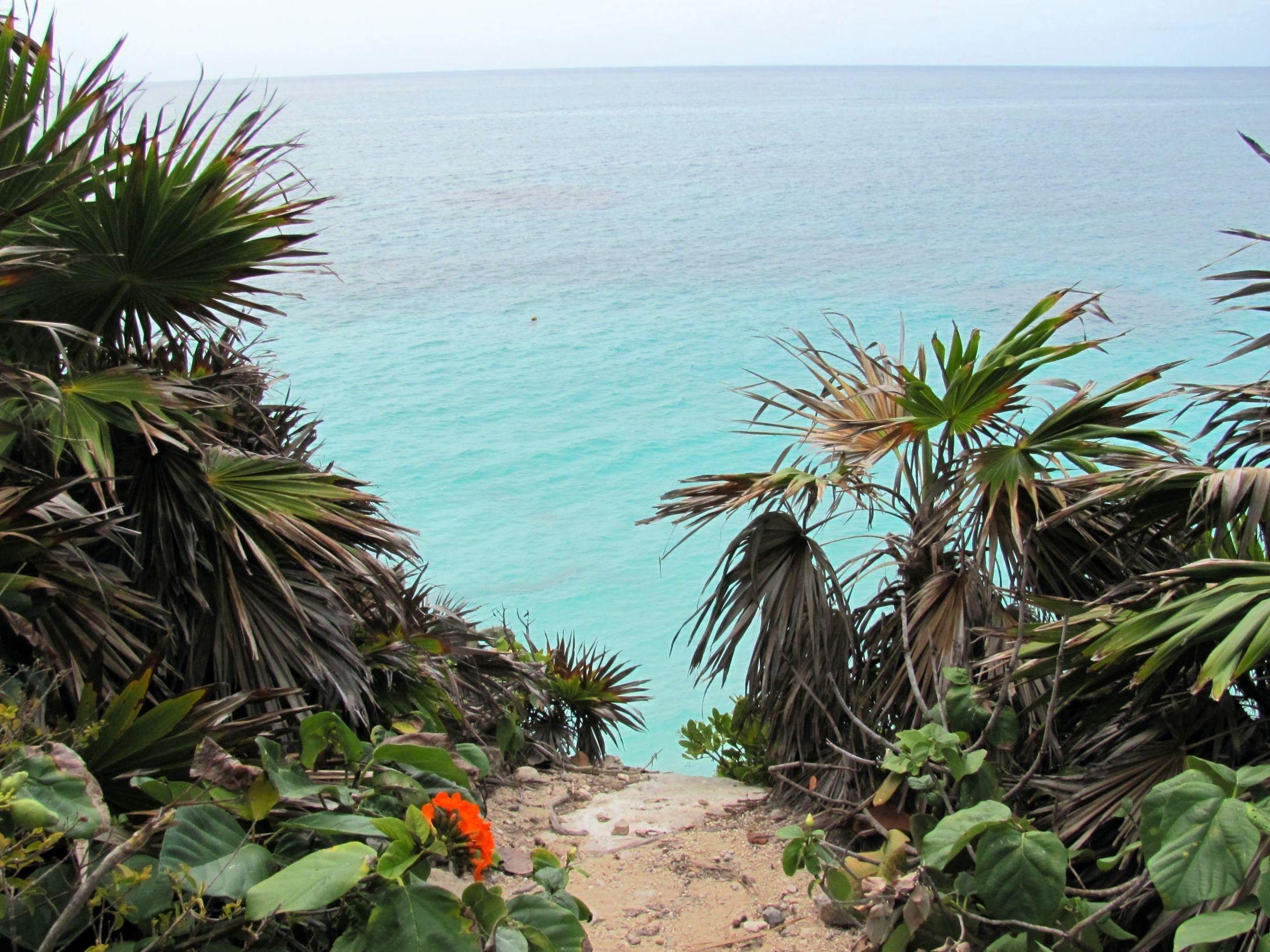 2190x1640 Oceans: Flowers View Tulum Ocean Cliff Beach Palm Tropical Trees, Desktop