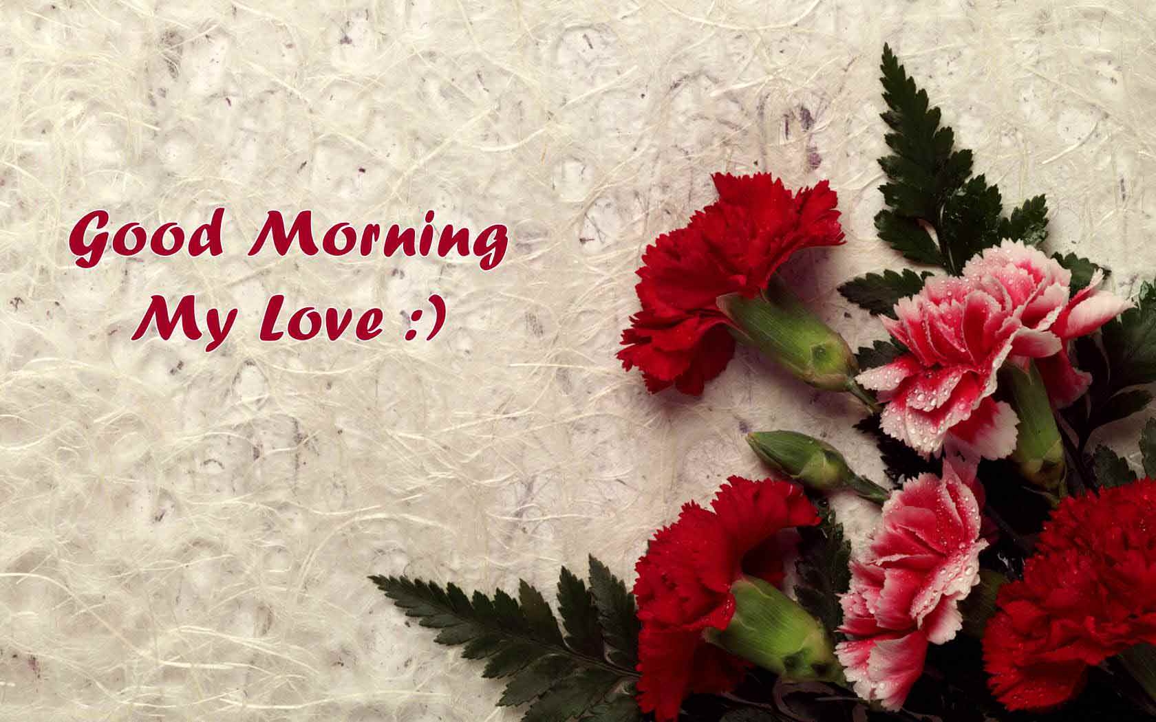 1680x1050 Best Romance Good Morning Wishes With Red Rose, Desktop