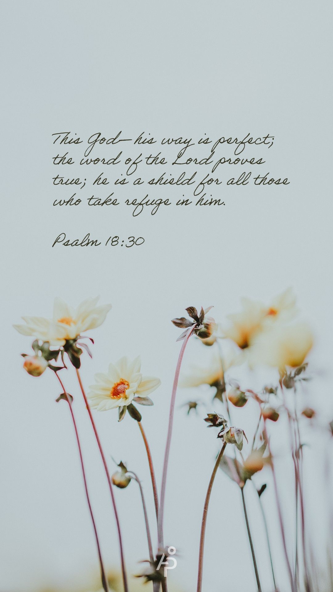 1080x1920 Free Bible Verse Phone Wallpaper, Phone