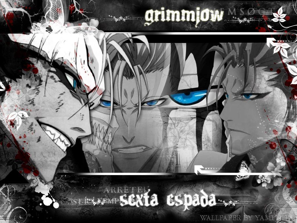 1030x770 Grimmjow Jeagerjaques Wallpaper 64 HD Wallpaper, Desktop