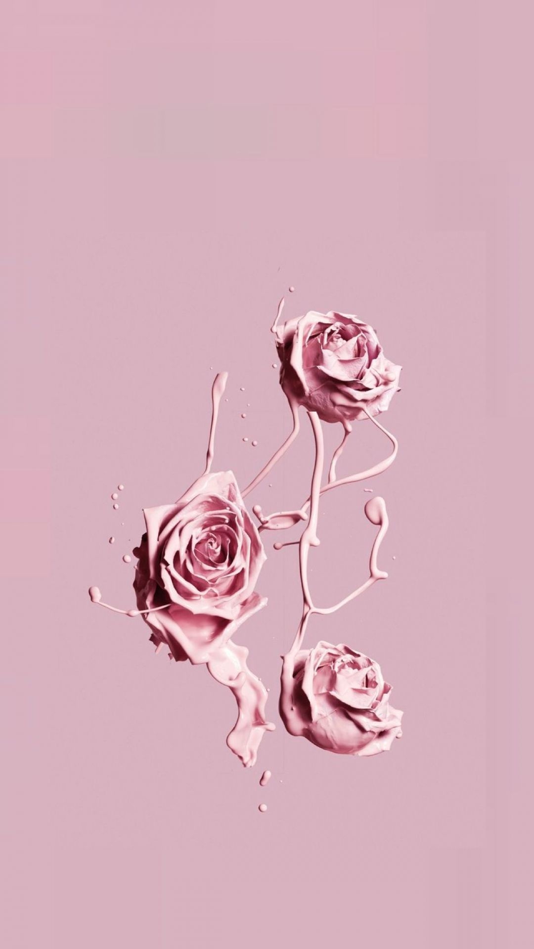 1080x1920 pink iphone wallpaper, pink, garden roses, rose, illustration, flower, Phone