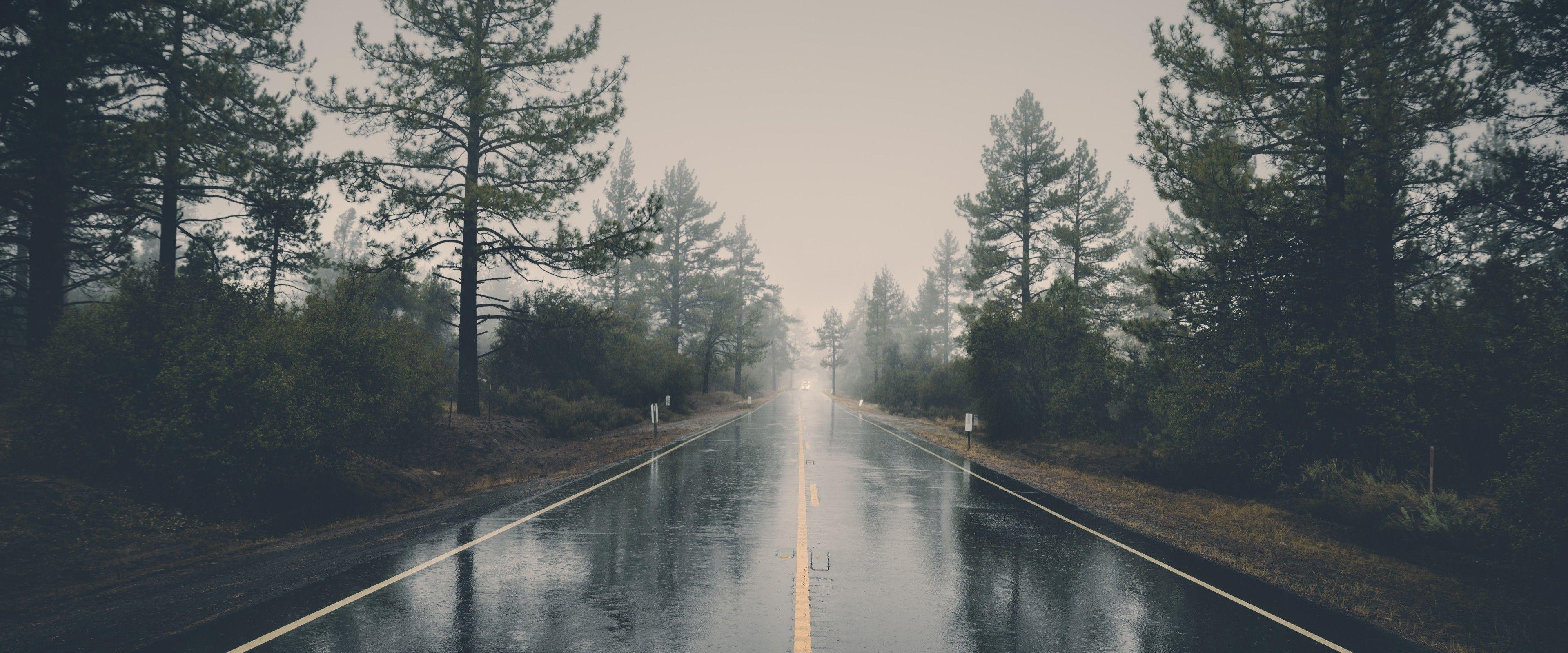 3840x1600 Rainy road through forest  (21:9 UW), Dual Screen