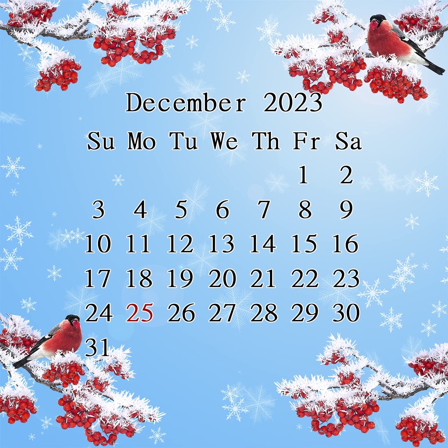 1470x1470 Amazon.com, 2023 2024 CD Style Desk Calendar 16 Months Calendar Planner (Edition ), Office Products, Phone