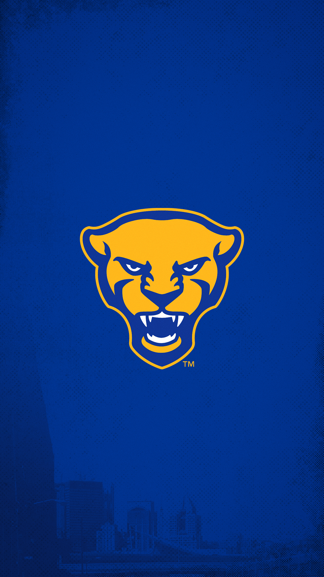 1080x1920 Wallpaper: Mobile and Desktop Panthers #H2P, Phone