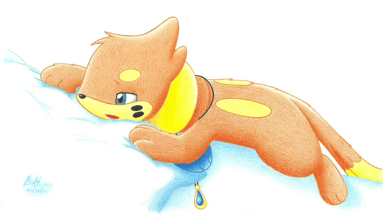 1280x730 Tired and Sleepy Buizel, Desktop