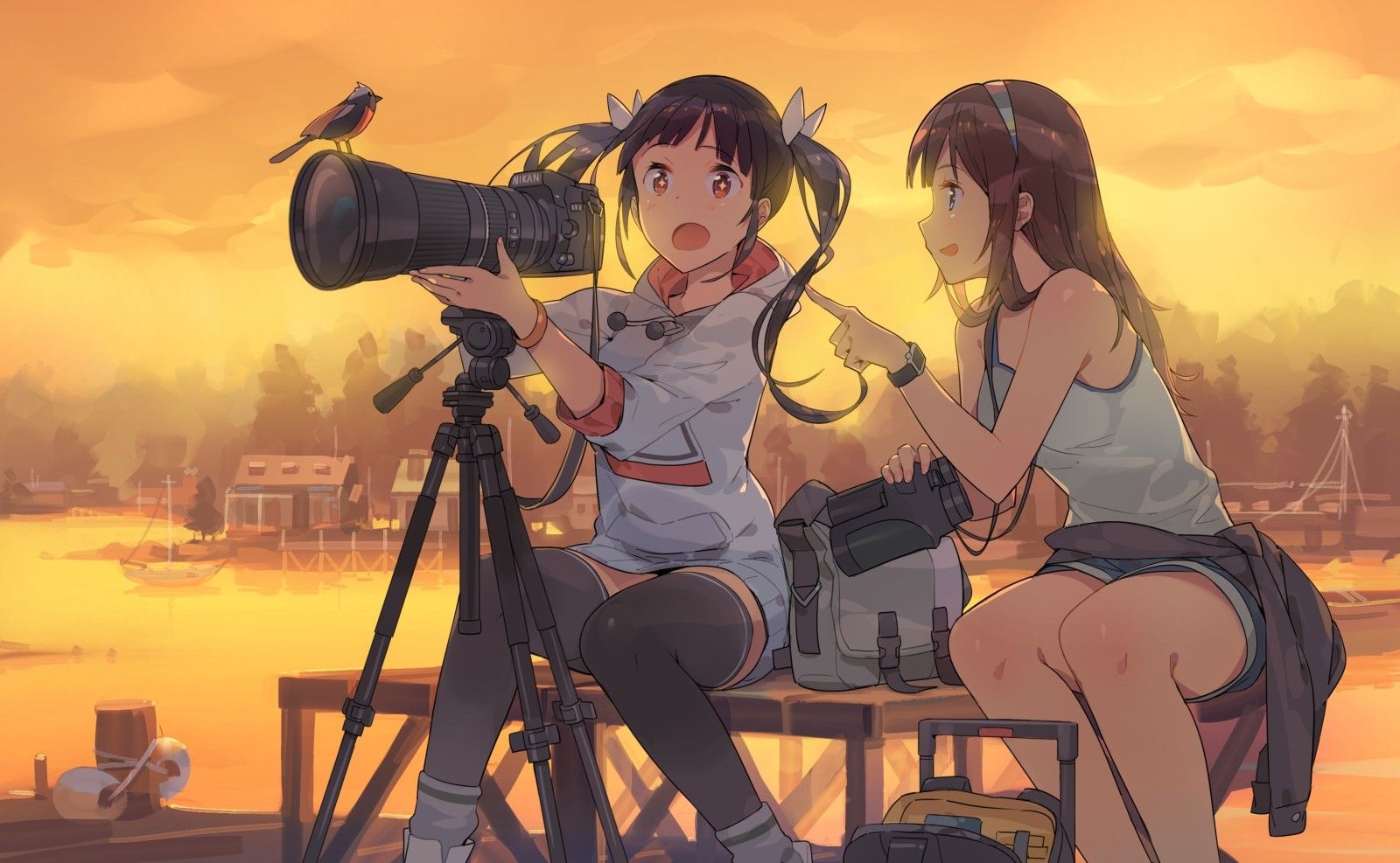 1600x990 Wallpaper, illustration, birds, anime girls, camera, cartoon, Person, screenshot, Desktop