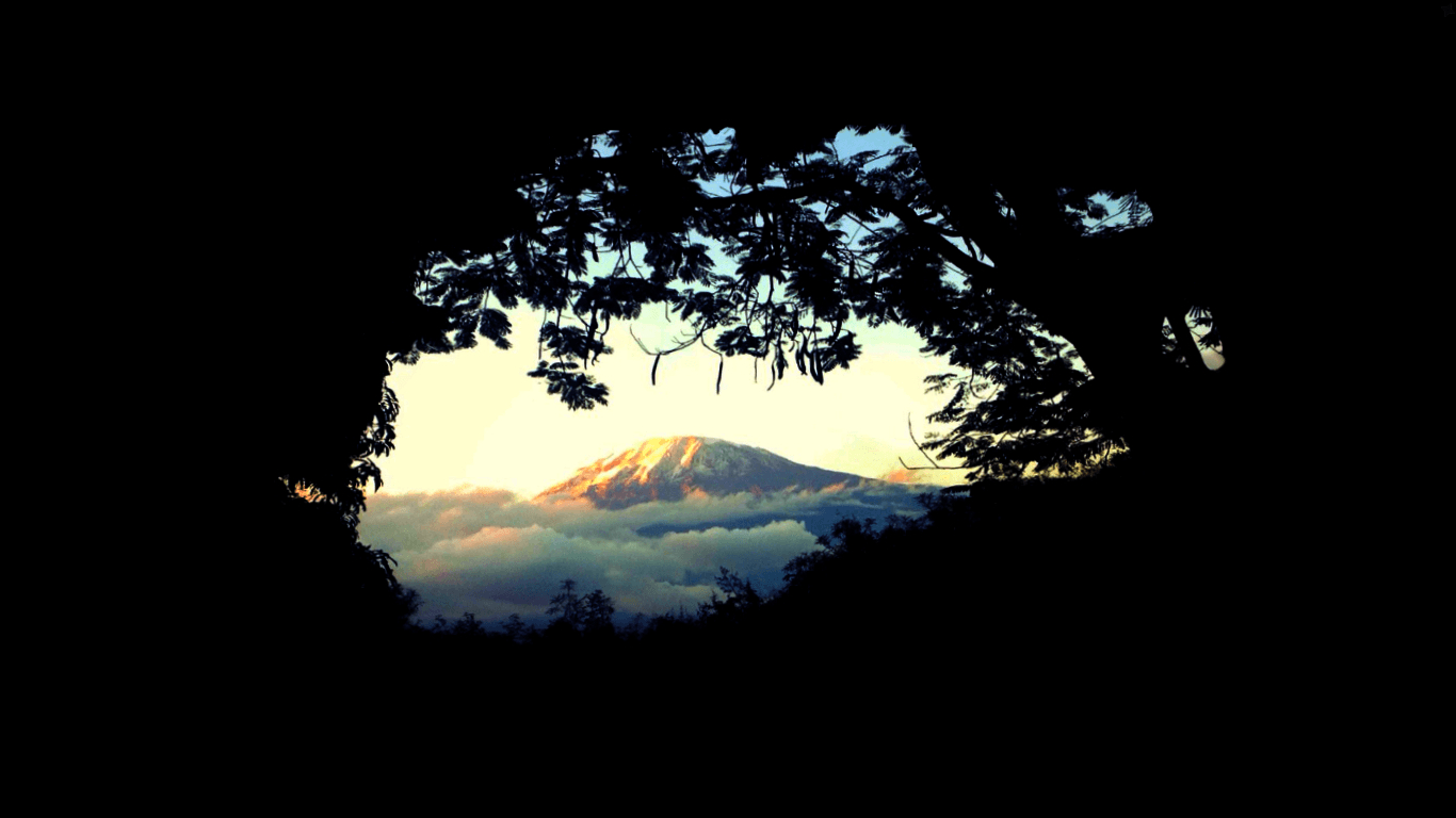 1370x770 Mount Kilimanjaro, Forest above the clouds. [], Desktop