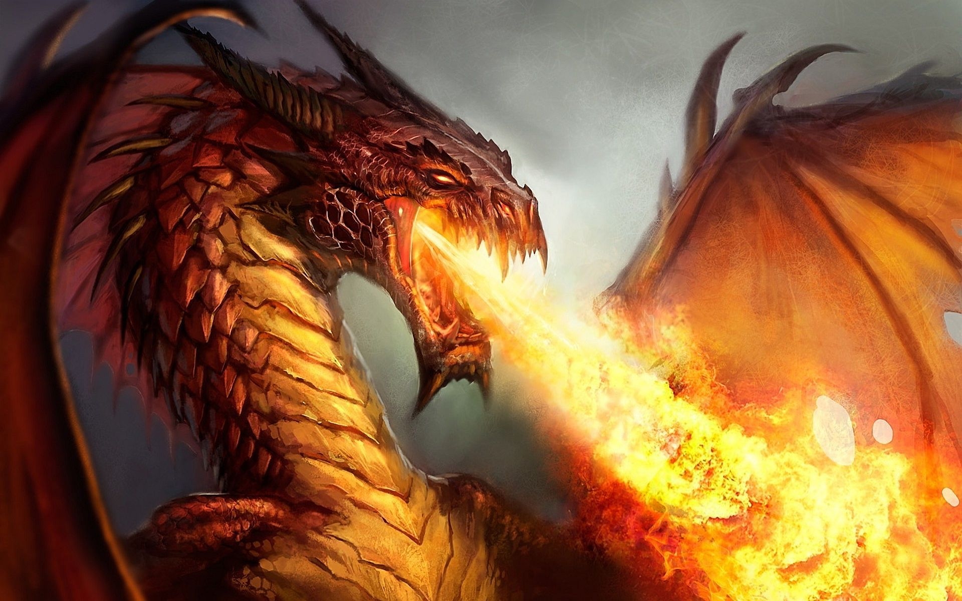 1920x1200 fire real life dragons, Desktop