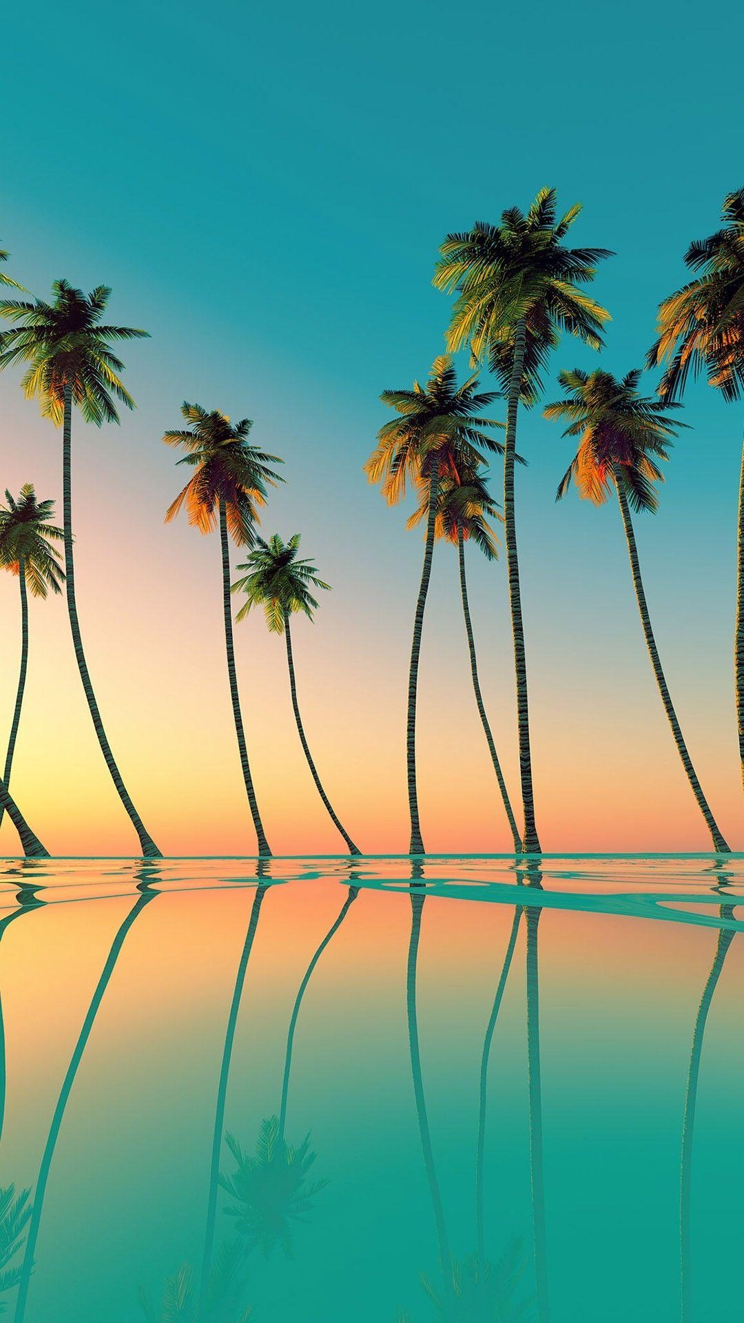 1080x1920 Palm trees wallpaper. PHONE WALLPAPERS. Beautiful, Phone