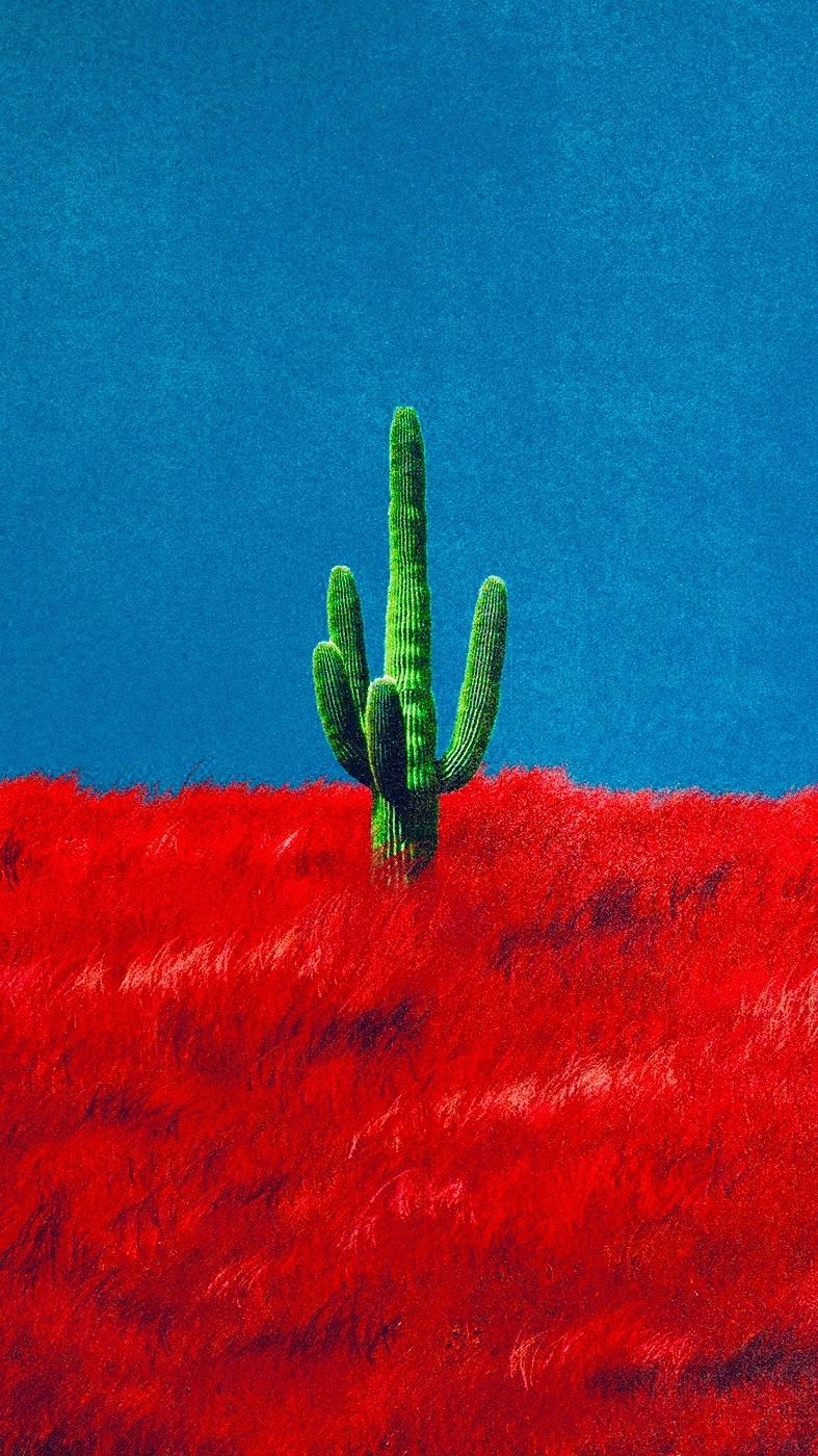 790x1400 Here's a 9:16 Cactus Wallpaper :), Phone