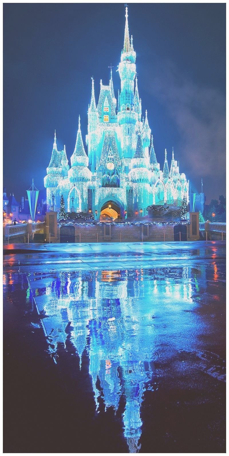 800x1590 Disney Castle iPhone Wallpaper, Phone