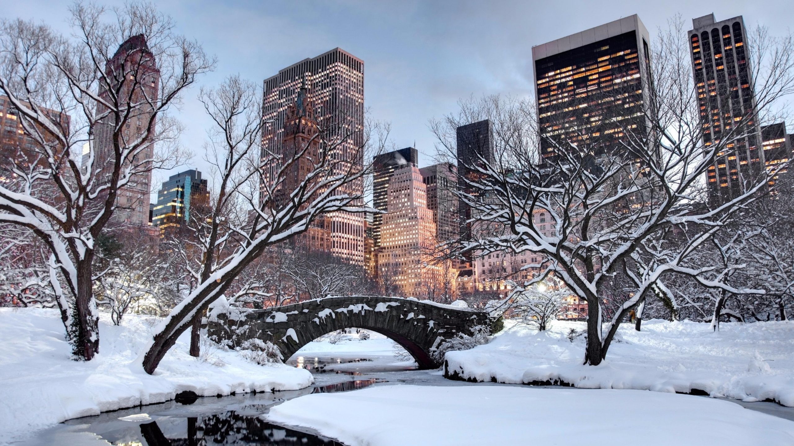 2560x1440 Snow, Winter, United States, New York City, Tree, Sky, Building Wallpaper • Wallpaper For You, Desktop