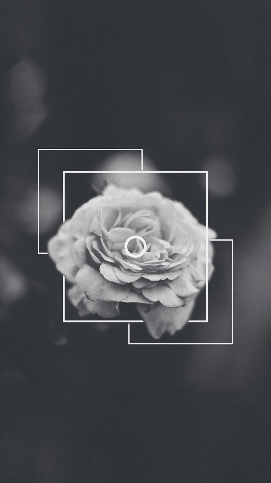 1080x1920 Black Rose Aesthetic Wallpaper Free Black Rose Aesthetic, Phone