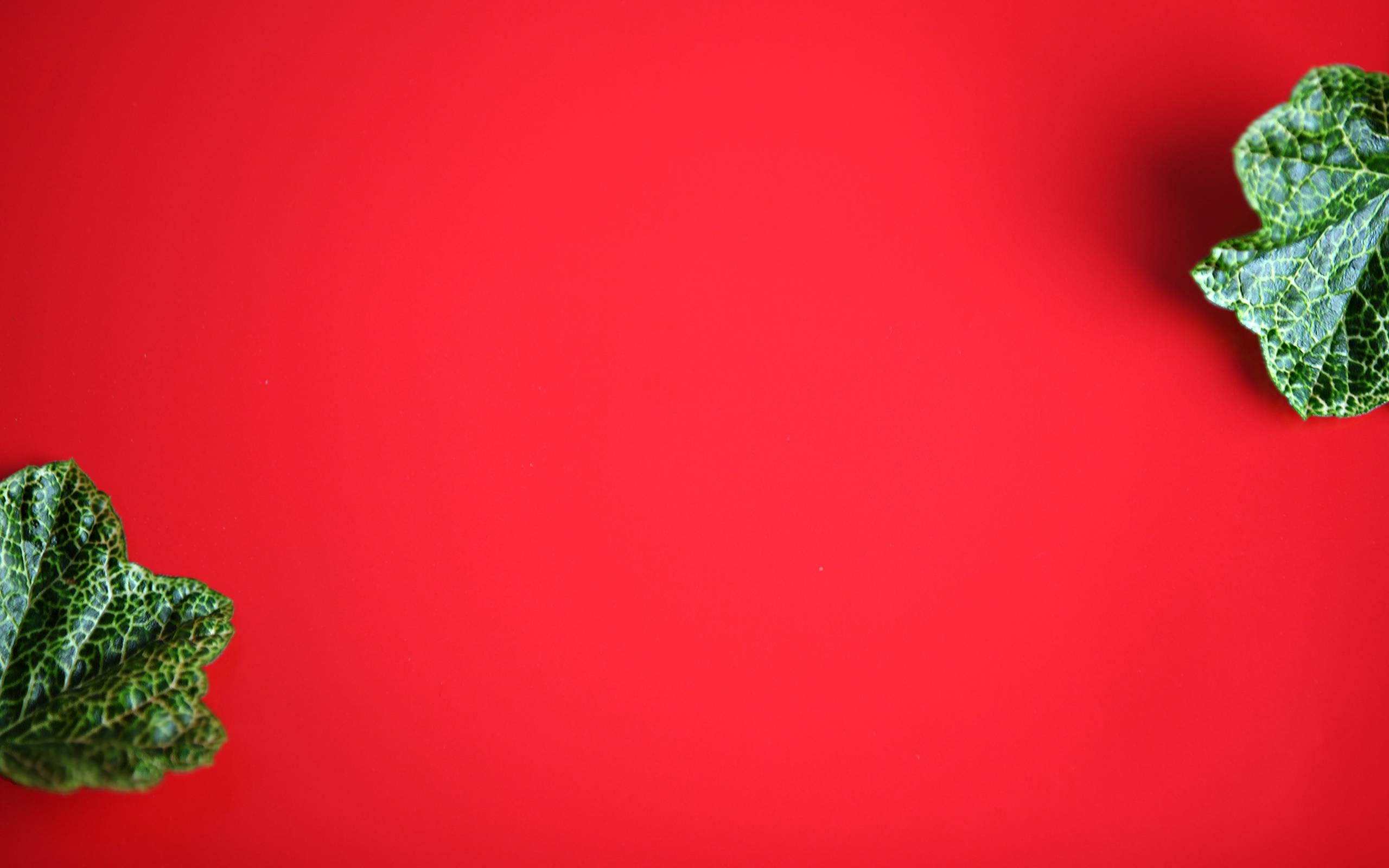 2560x1600 Green and Red Wallpaper 07 - [], Desktop